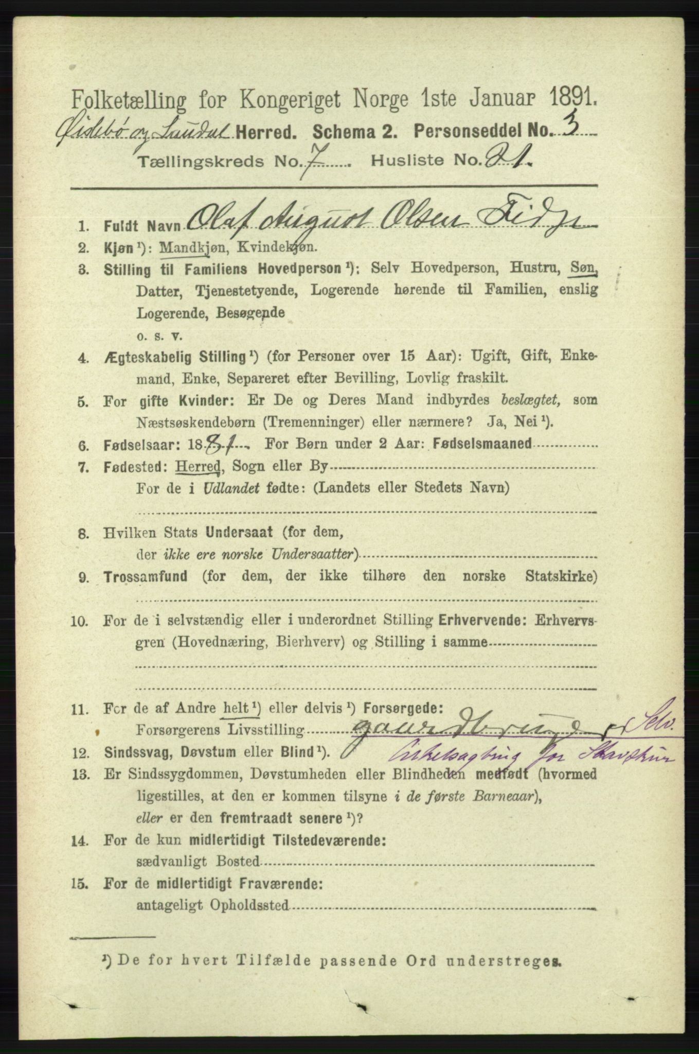 RA, 1891 census for 1021 Øyslebø og Laudal, 1891, p. 2043