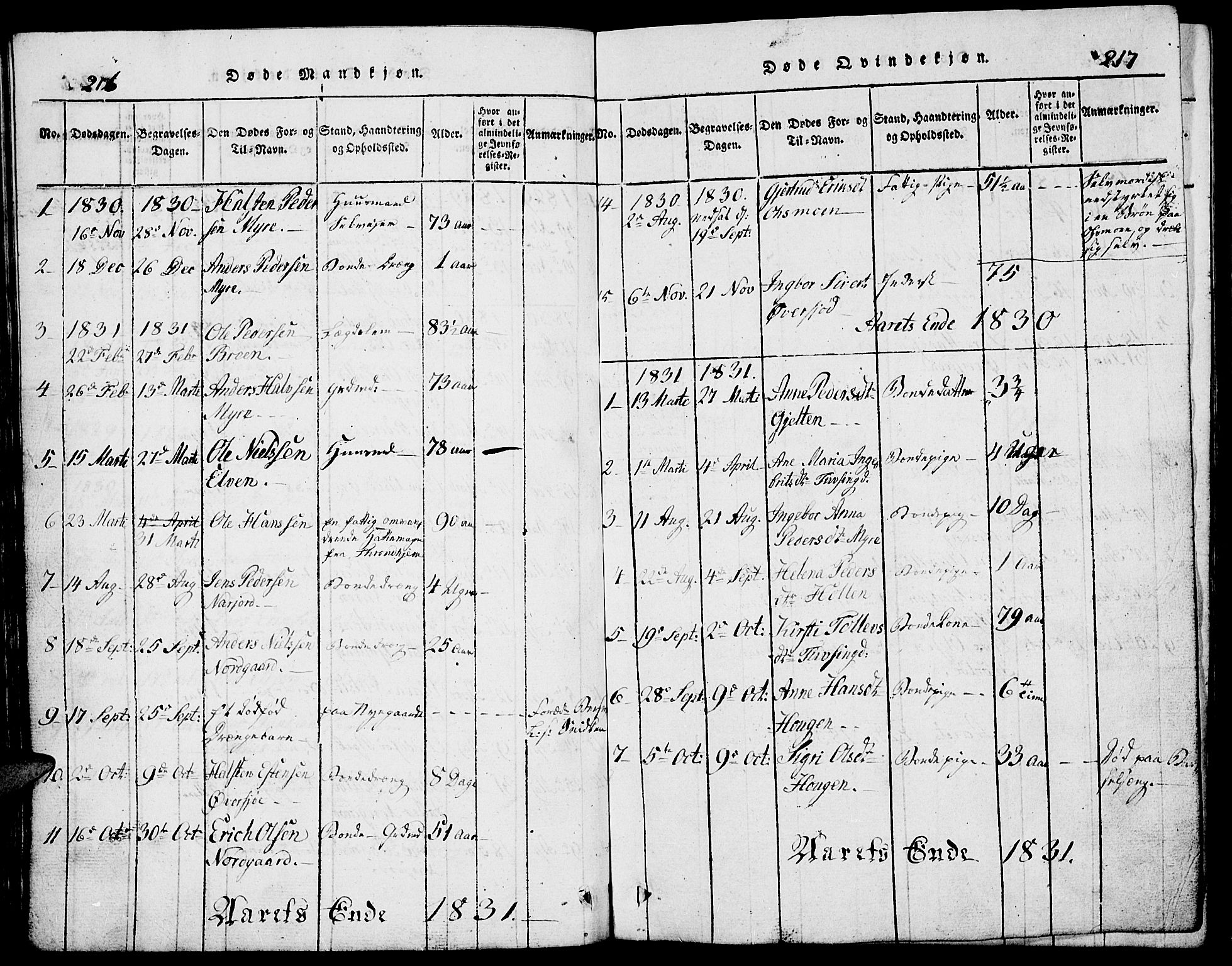 Tolga prestekontor, SAH/PREST-062/L/L0002: Parish register (copy) no. 2, 1815-1844, p. 216-217