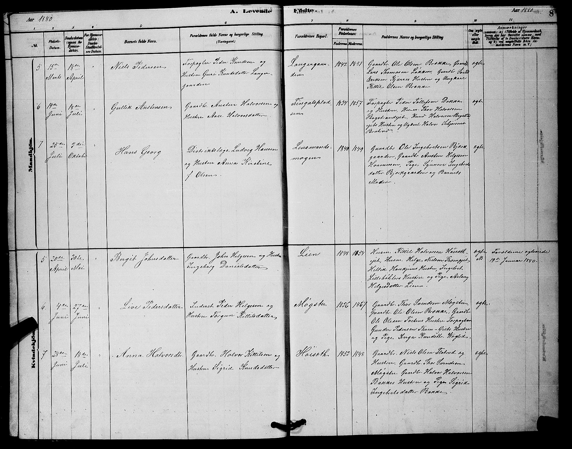 Rollag kirkebøker, AV/SAKO-A-240/G/Gb/L0002: Parish register (copy) no. II 2, 1878-1898, p. 8