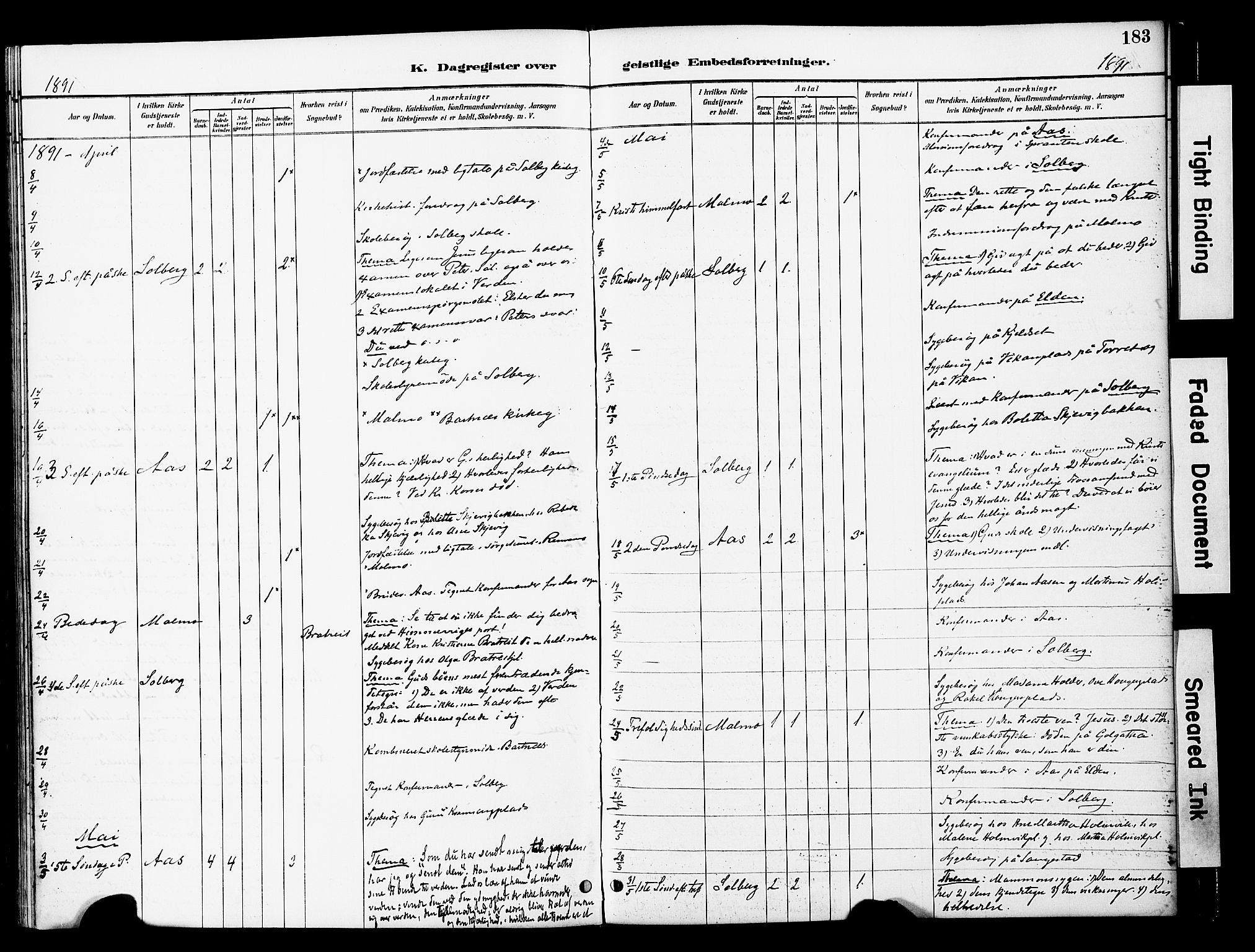 Ministerialprotokoller, klokkerbøker og fødselsregistre - Nord-Trøndelag, AV/SAT-A-1458/741/L0396: Parish register (official) no. 741A10, 1889-1901, p. 183