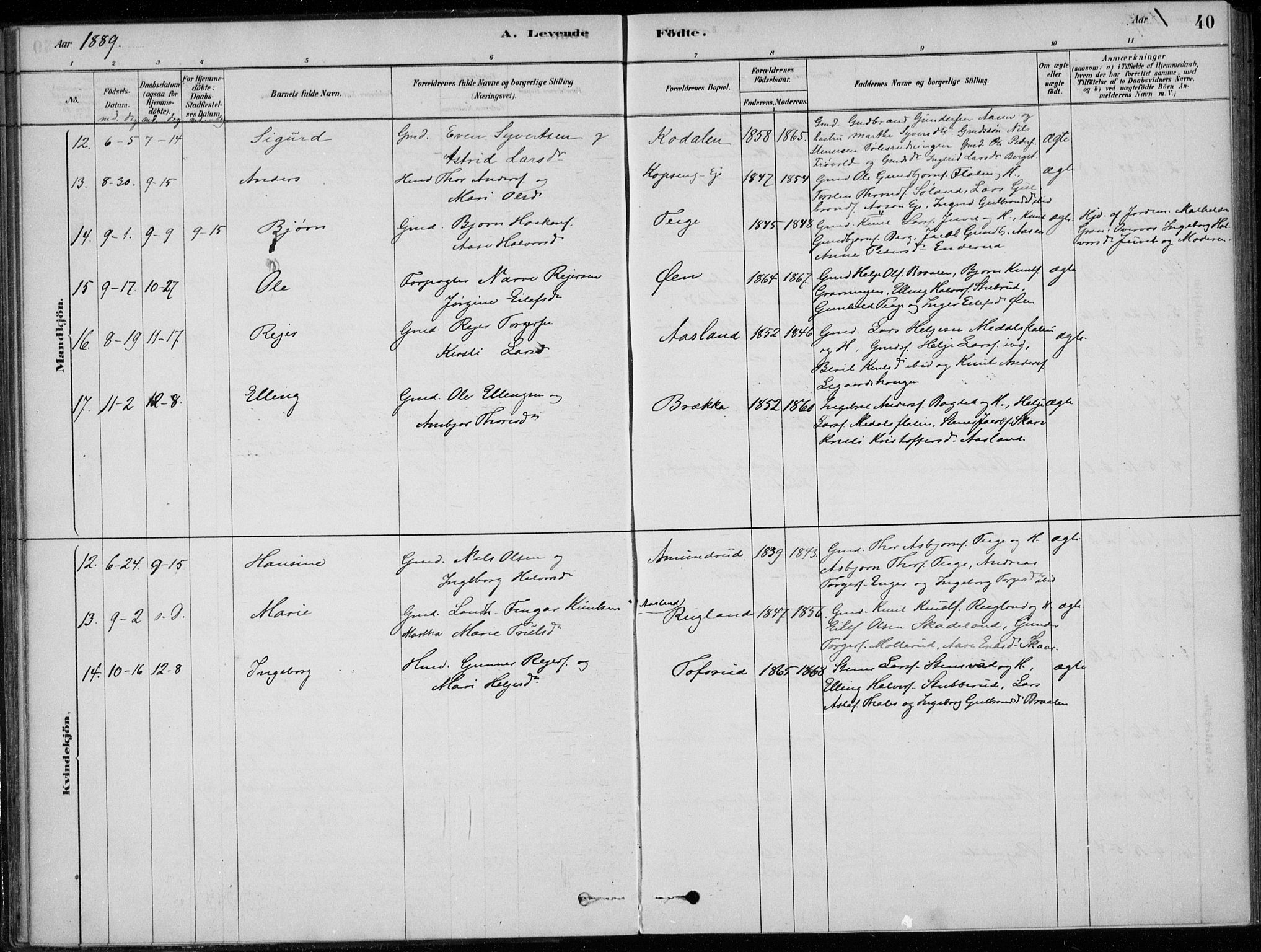 Sigdal kirkebøker, AV/SAKO-A-245/F/Fc/L0001: Parish register (official) no. III 1, 1879-1893, p. 40