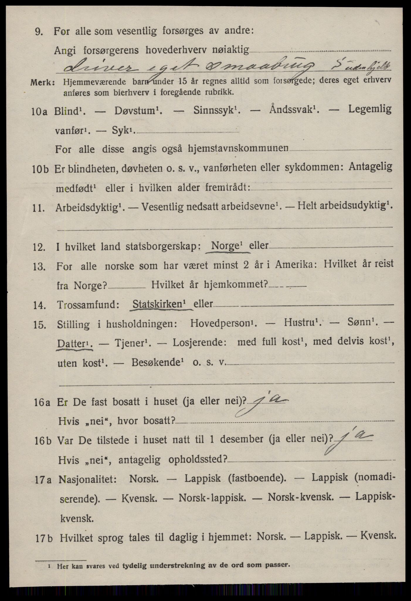 SAT, 1920 census for Heim, 1920, p. 1902