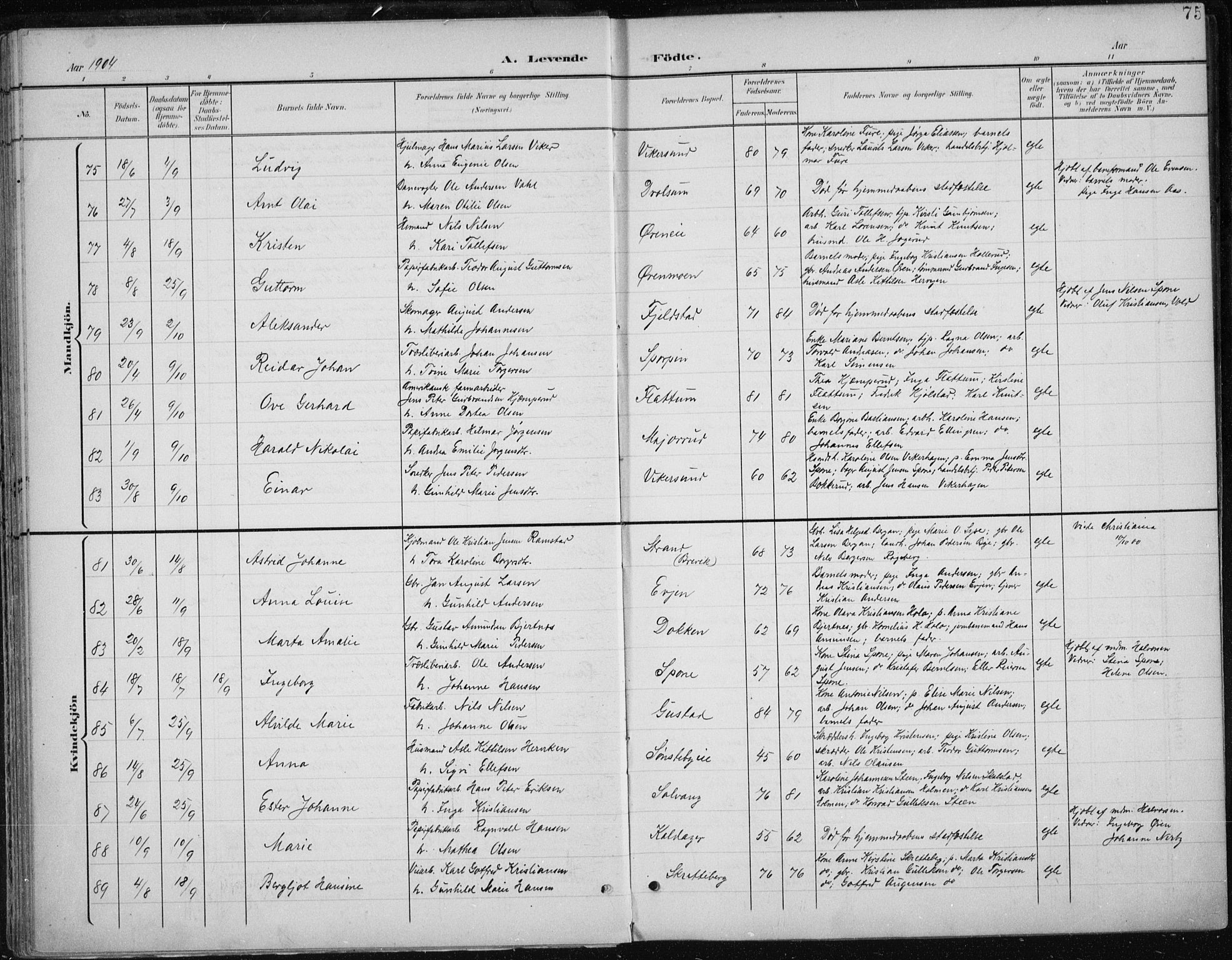 Modum kirkebøker, AV/SAKO-A-234/F/Fa/L0013: Parish register (official) no. 13, 1899-1907, p. 75