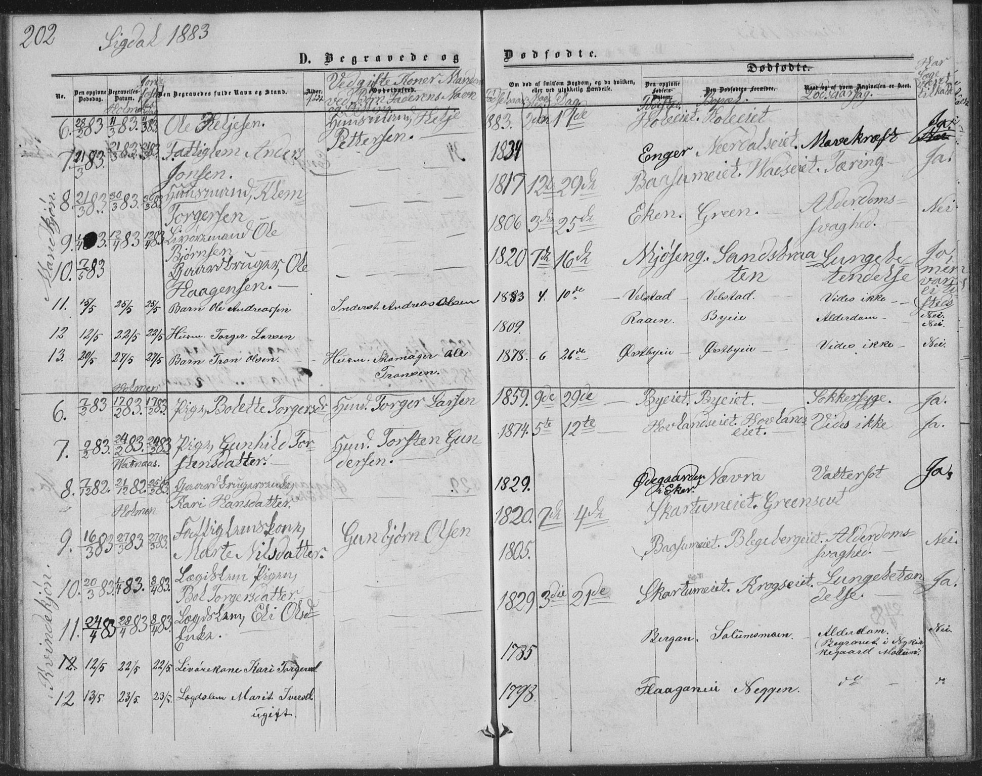 Sigdal kirkebøker, AV/SAKO-A-245/G/Ga/L0004: Parish register (copy) no. I 4, 1879-1885, p. 202