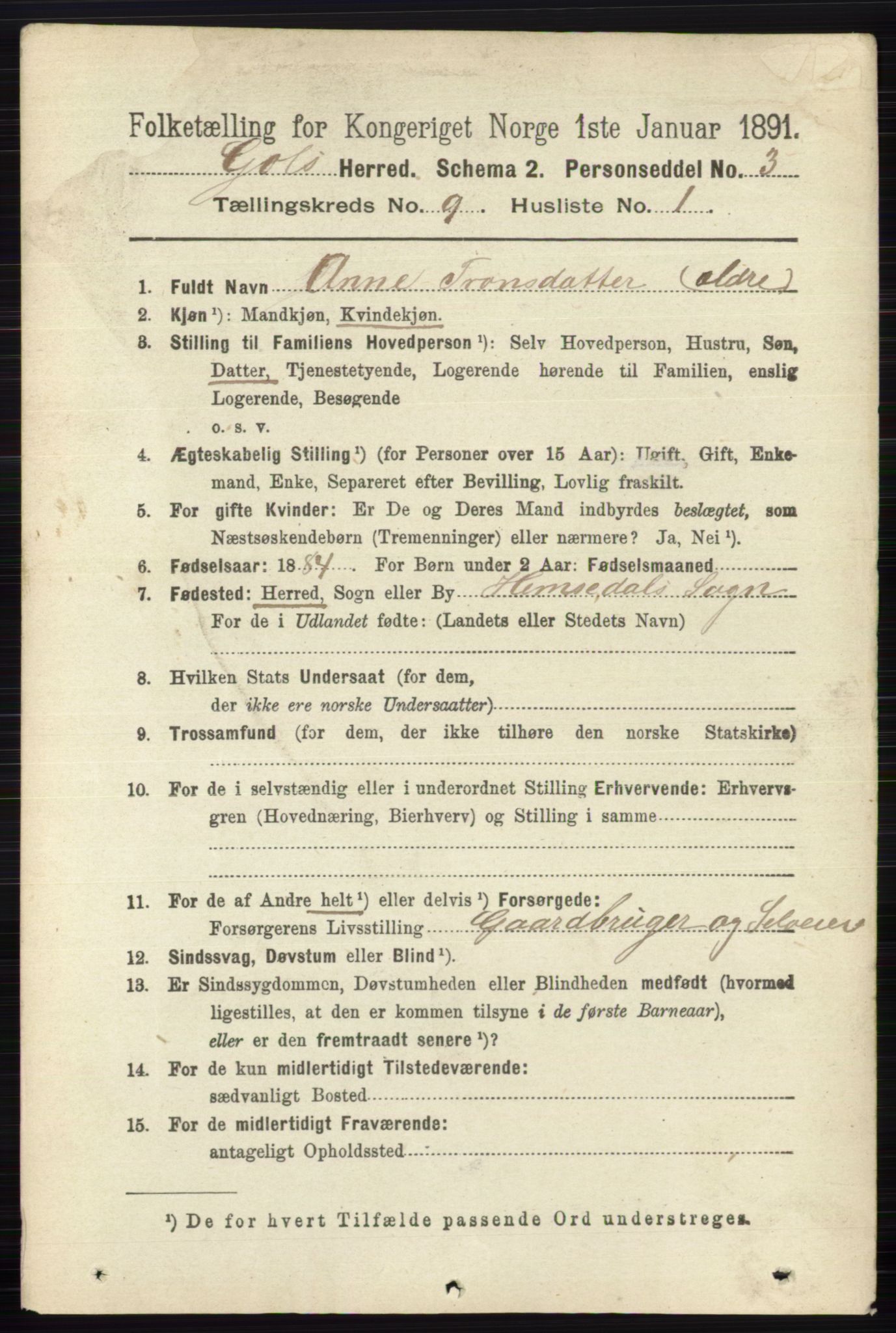 RA, 1891 census for 0617 Gol og Hemsedal, 1891, p. 3400