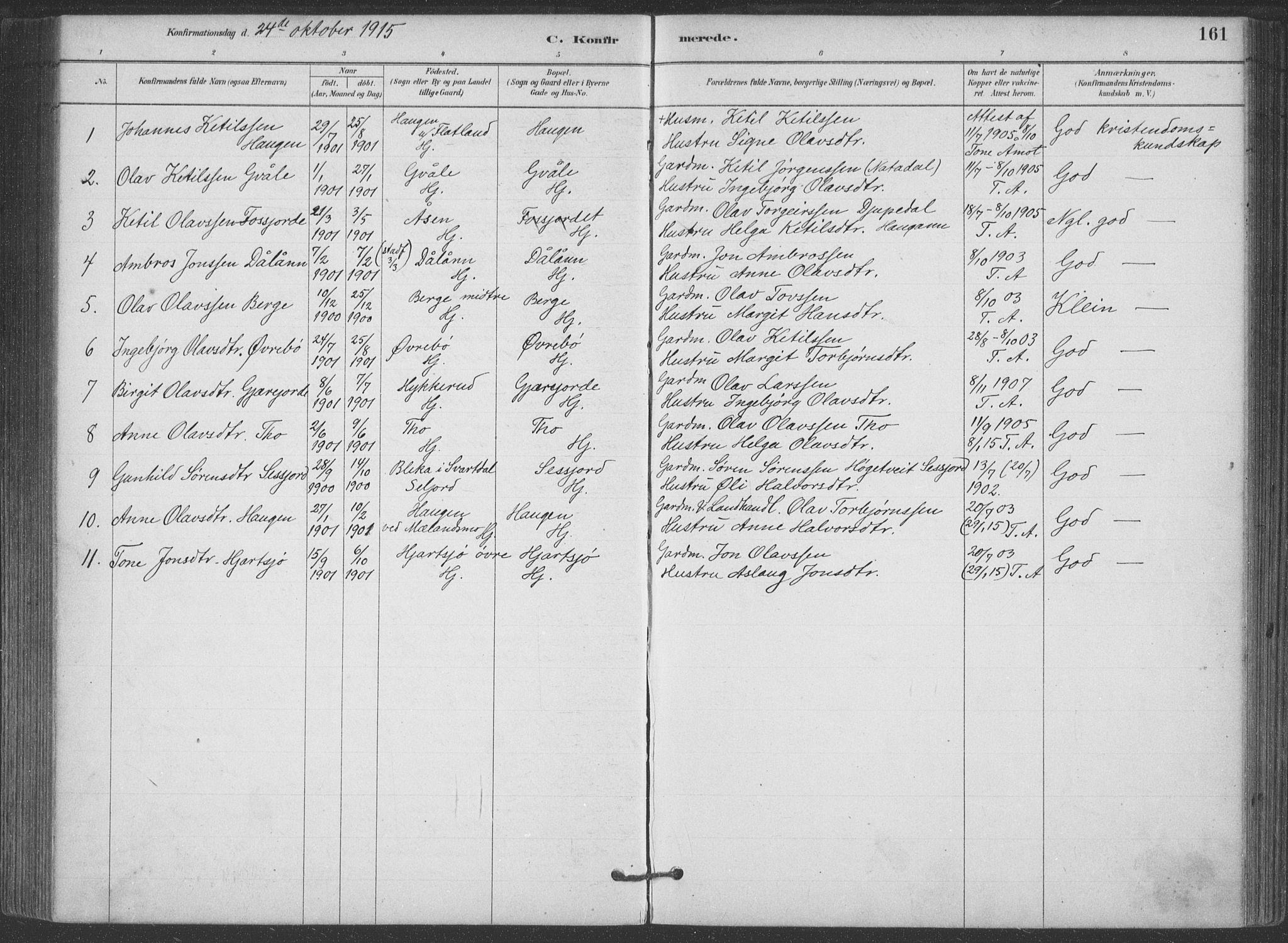 Hjartdal kirkebøker, SAKO/A-270/F/Fa/L0010: Parish register (official) no. I 10, 1880-1929, p. 161