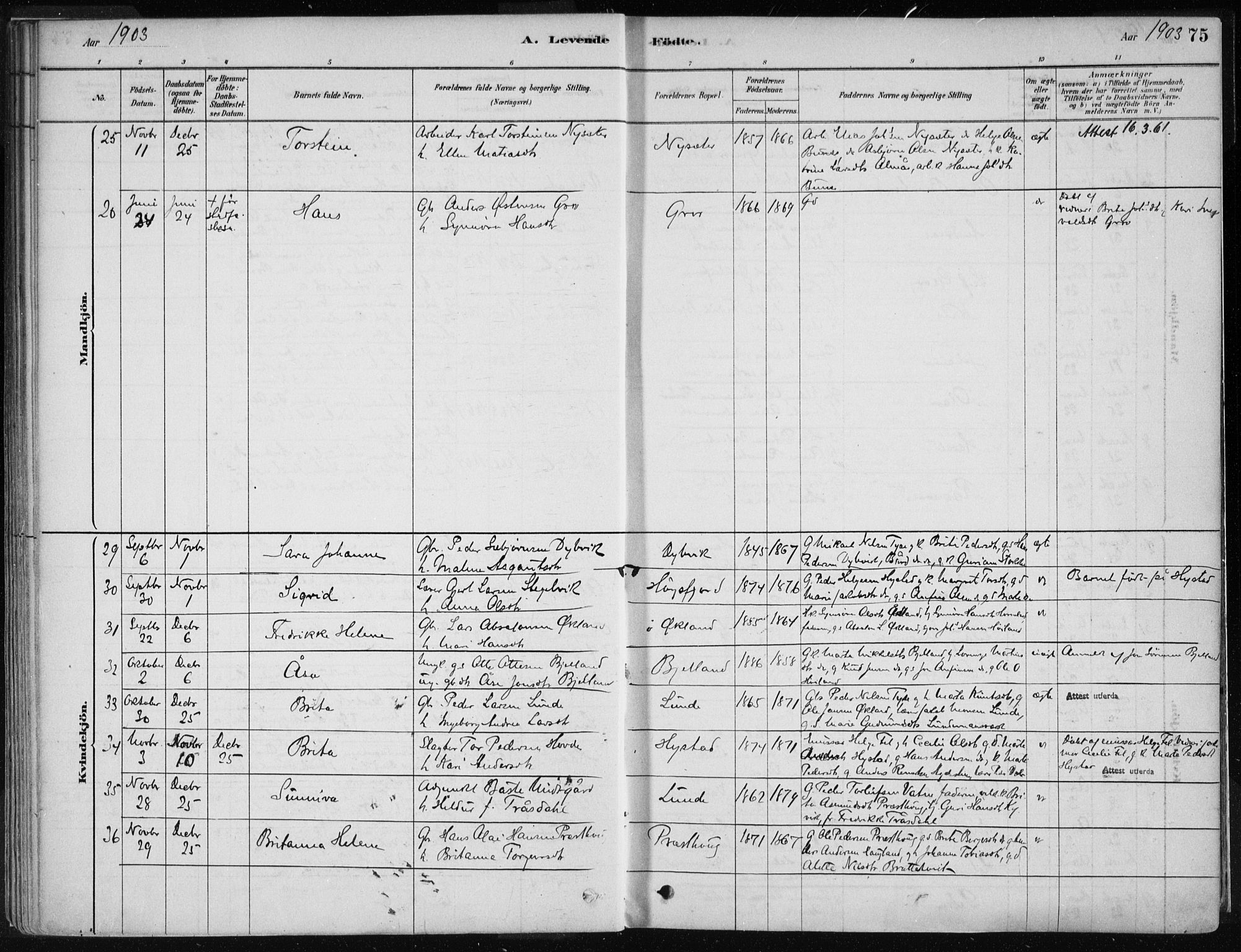 Stord sokneprestembete, AV/SAB-A-78201/H/Haa: Parish register (official) no. B 2, 1878-1913, p. 75