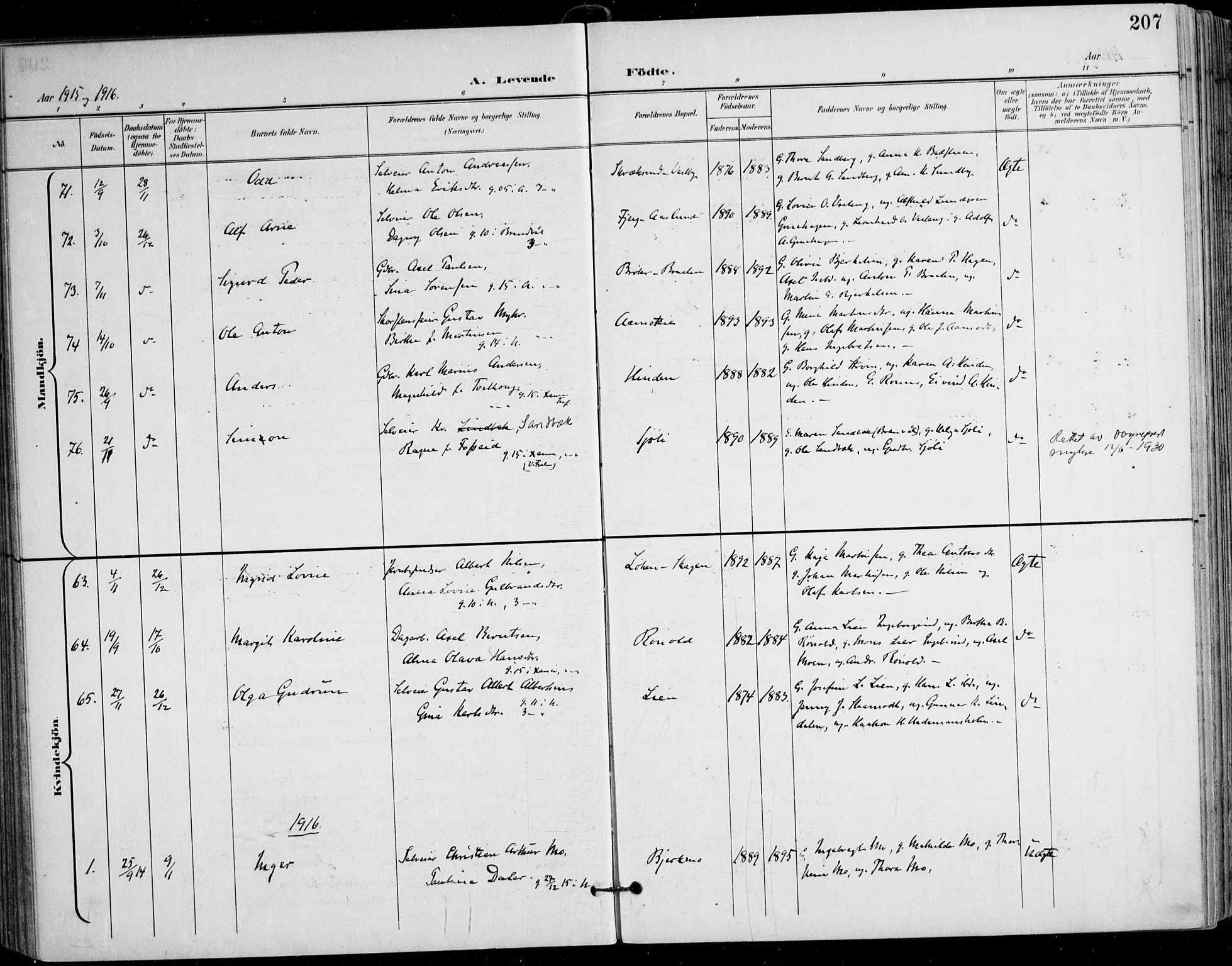 Nes prestekontor Kirkebøker, AV/SAO-A-10410/F/Fa/L0011: Parish register (official) no. I 11, 1899-1918, p. 207