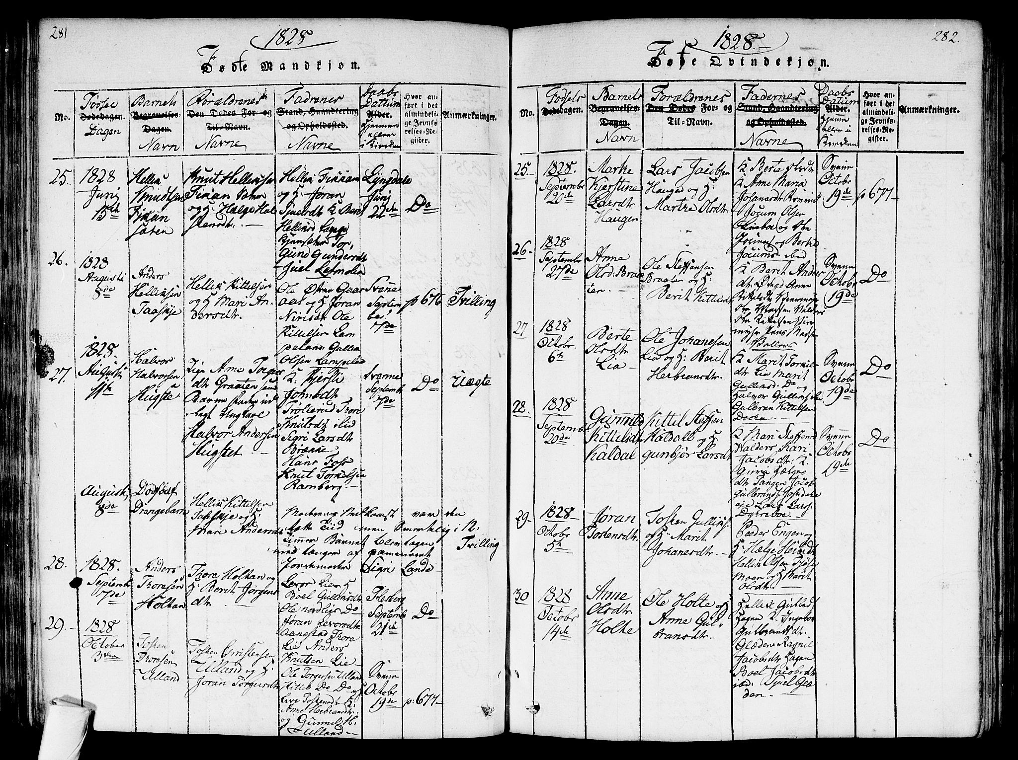 Flesberg kirkebøker, AV/SAKO-A-18/G/Ga/L0001: Parish register (copy) no. I 1, 1816-1834, p. 281-282