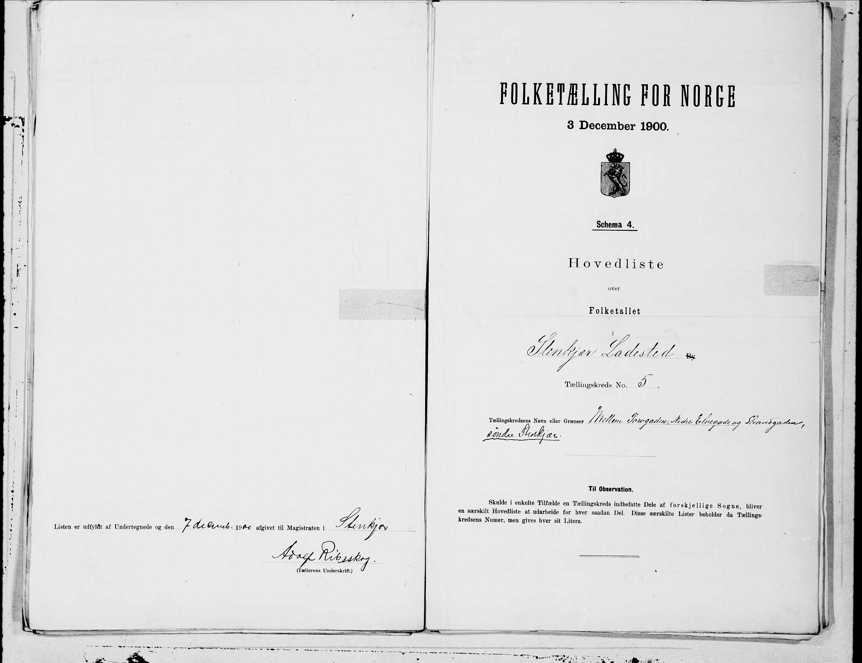 SAT, 1900 census for Steinkjer, 1900, p. 10