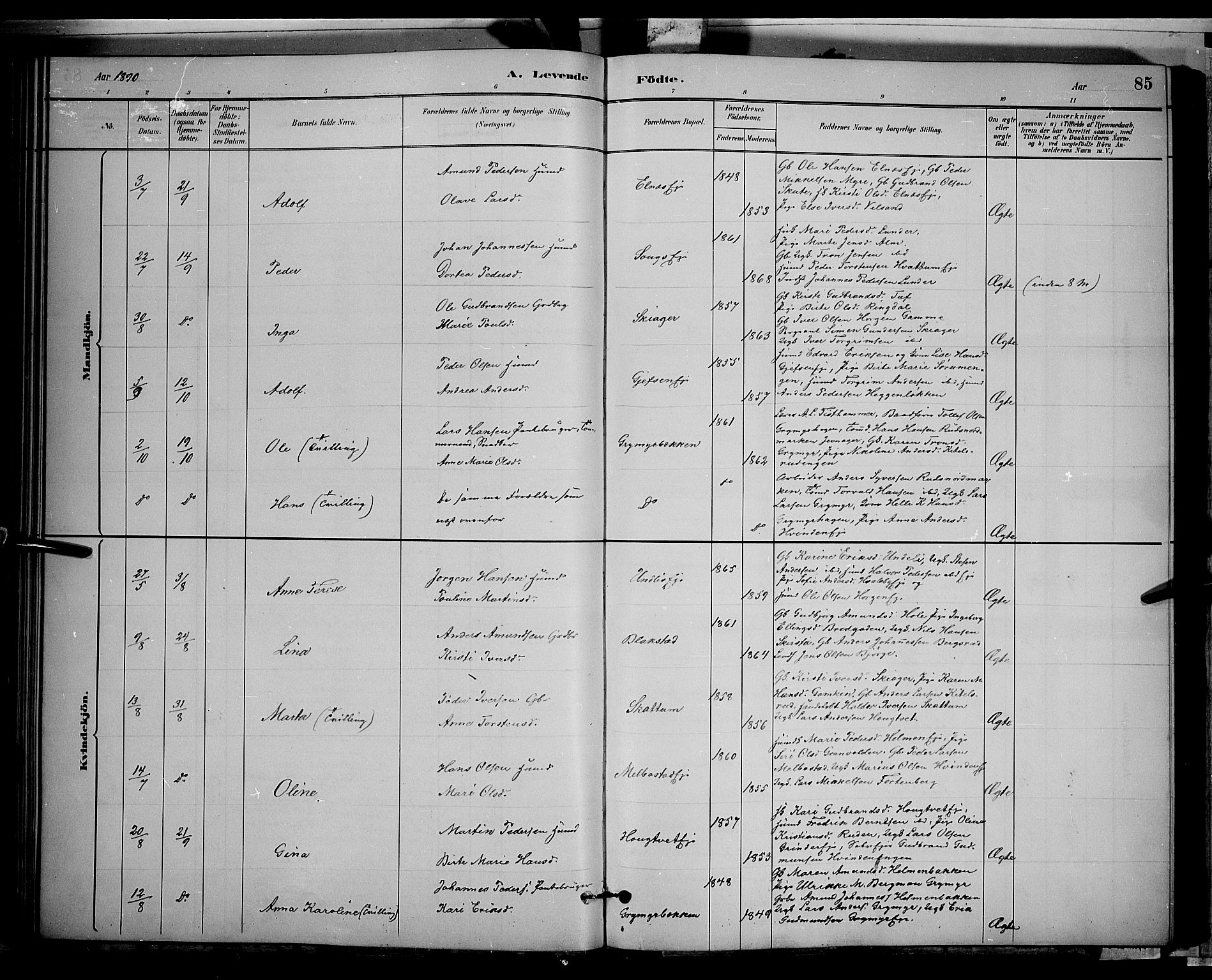 Gran prestekontor, AV/SAH-PREST-112/H/Ha/Hab/L0002: Parish register (copy) no. 2, 1879-1892, p. 85