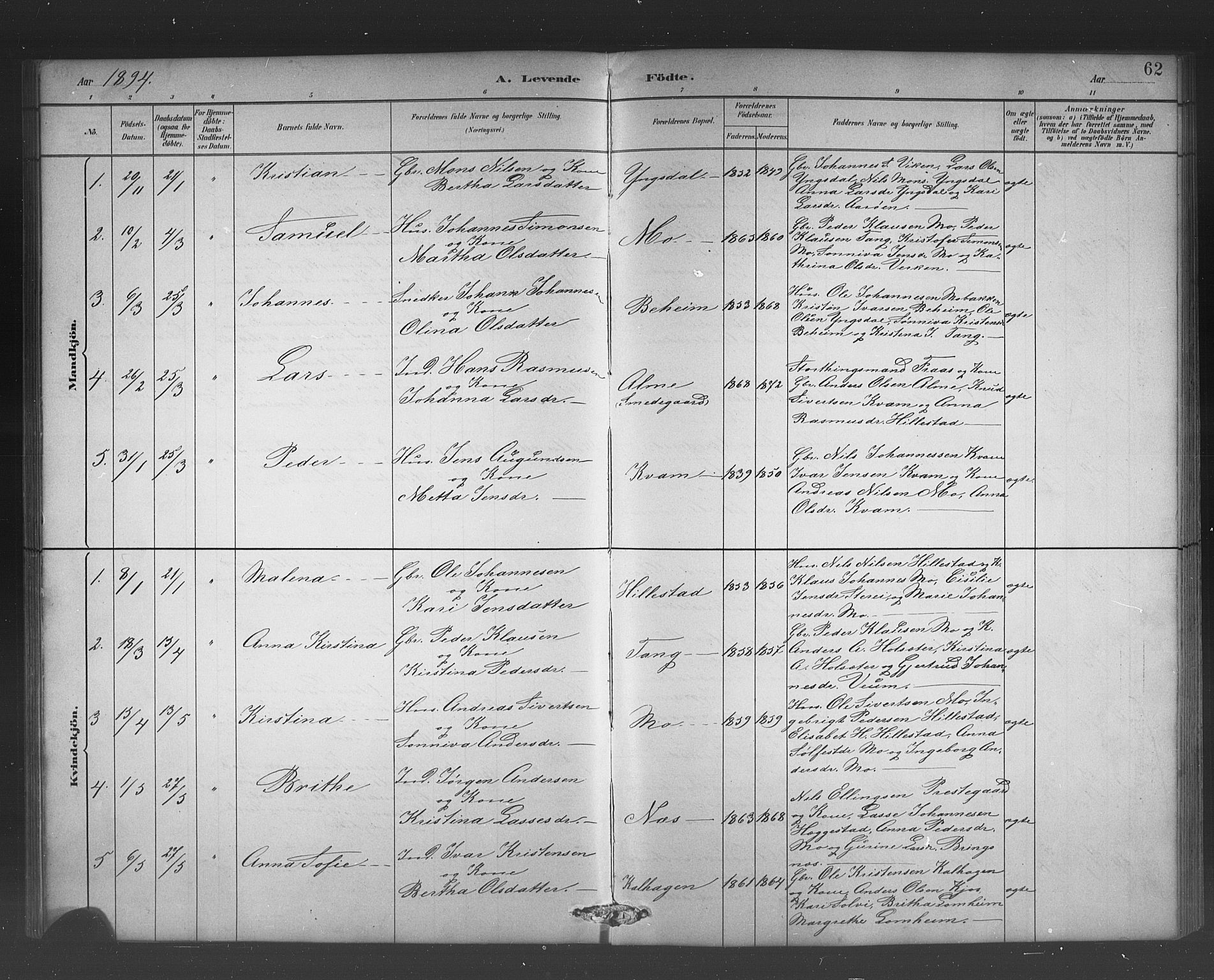 Hafslo sokneprestembete, AV/SAB-A-80301/H/Hab/Habb/L0001: Parish register (copy) no. B 1, 1882-1908, p. 62