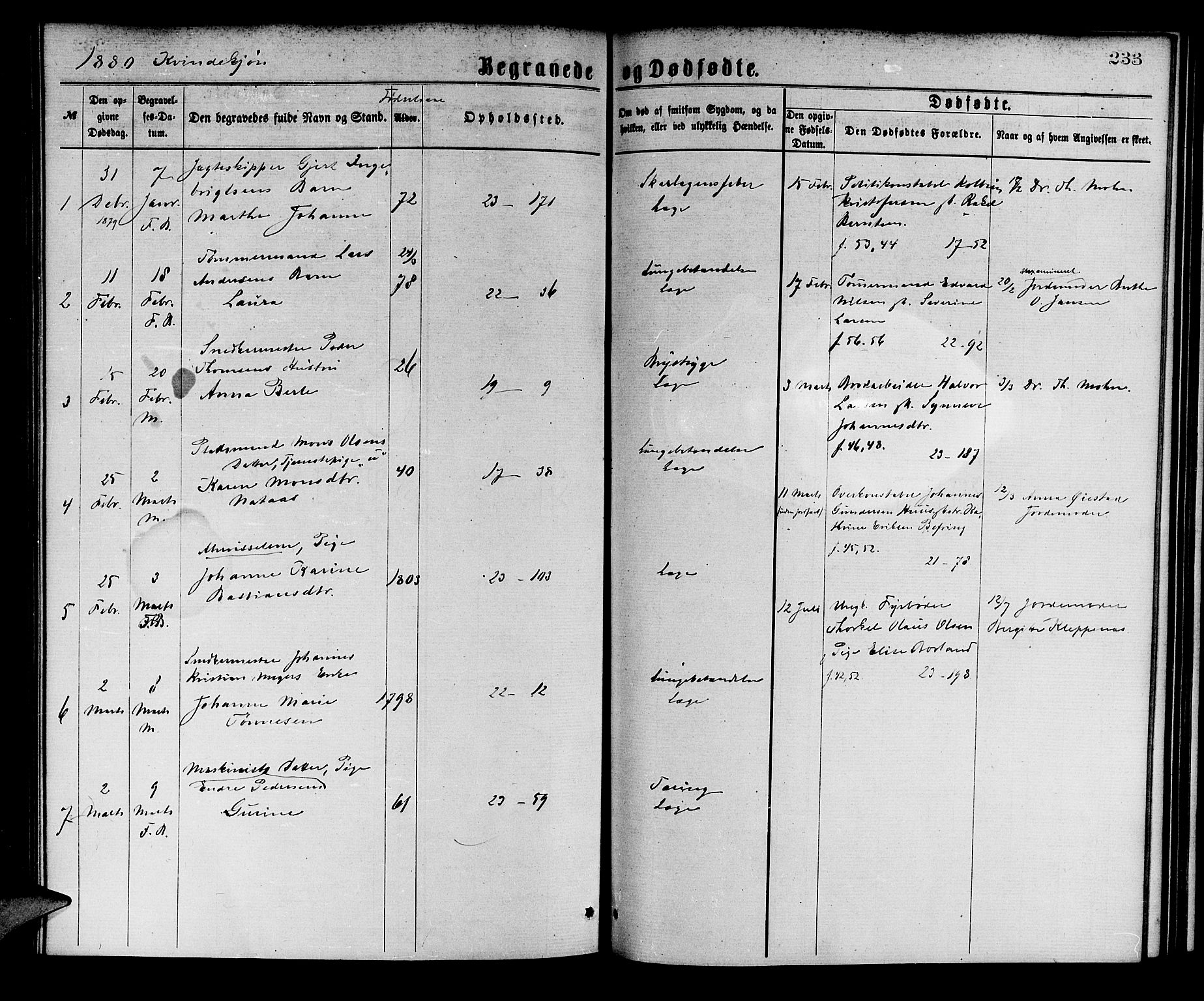 Korskirken sokneprestembete, SAB/A-76101/H/Hab: Parish register (copy) no. E 3, 1871-1883, p. 233
