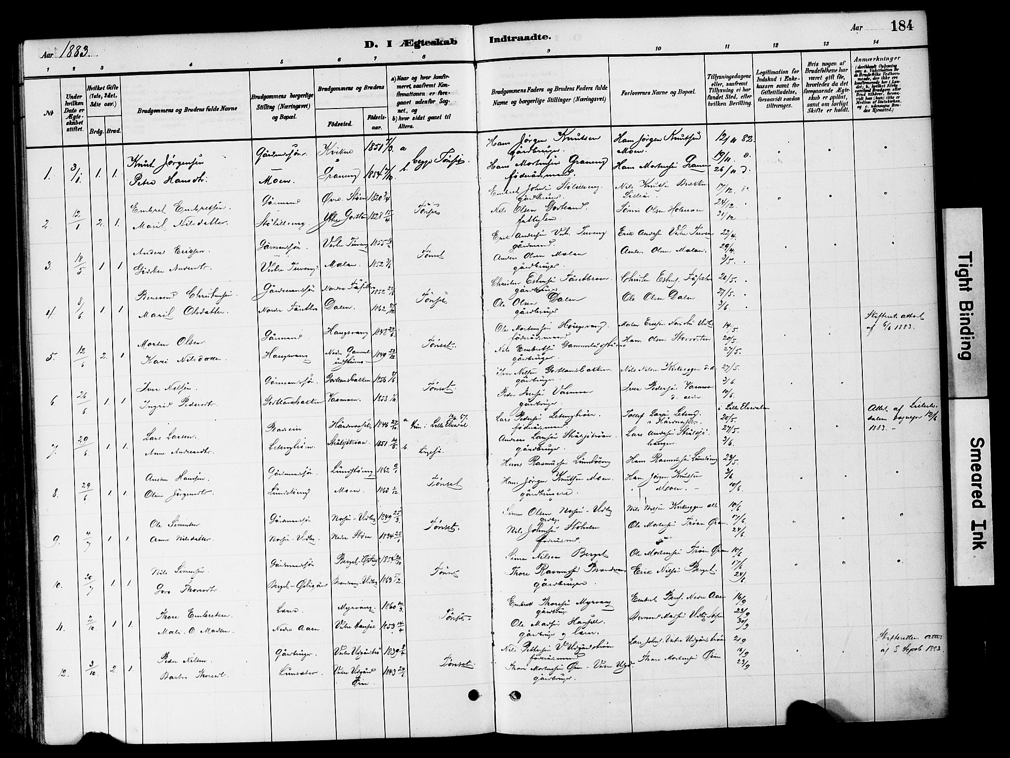 Tynset prestekontor, SAH/PREST-058/H/Ha/Haa/L0022: Parish register (official) no. 22, 1880-1899, p. 184