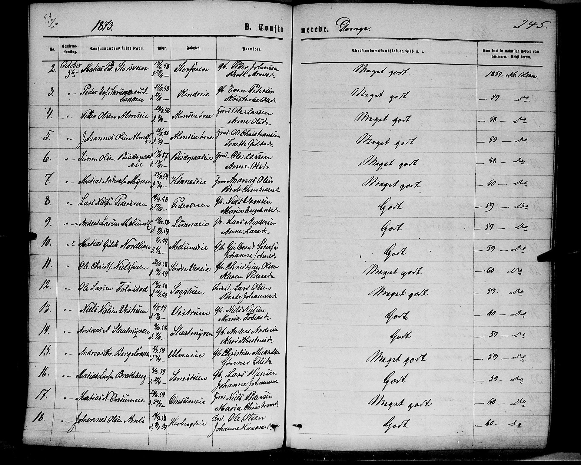 Ringsaker prestekontor, AV/SAH-PREST-014/K/Ka/L0011: Parish register (official) no. 11, 1870-1878, p. 245