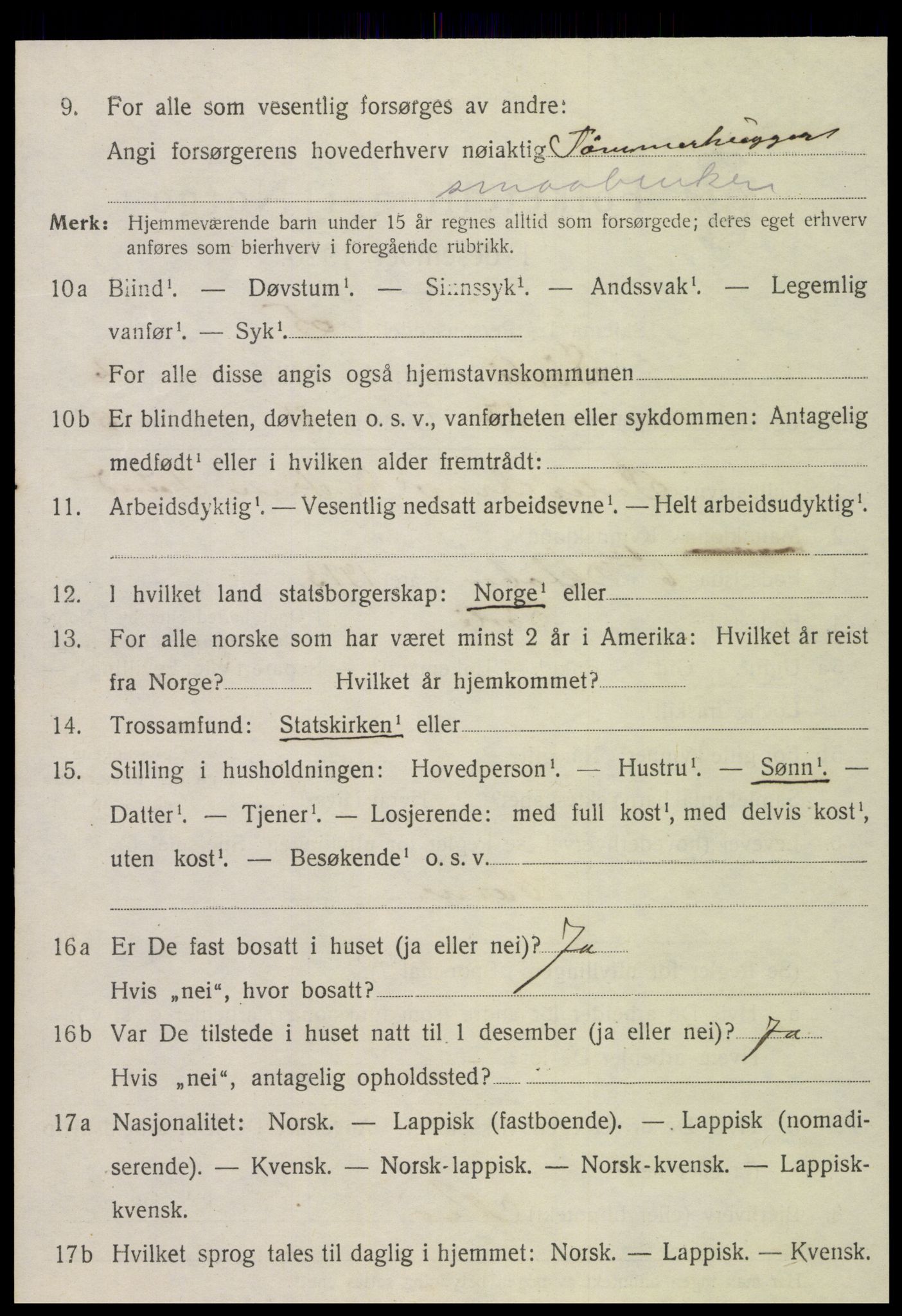 SAT, 1920 census for Sørli, 1920, p. 1062