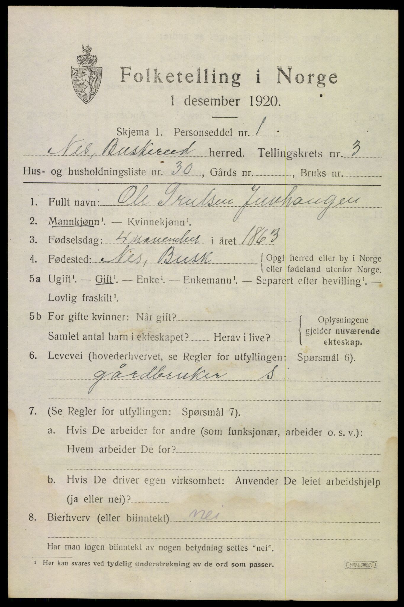 SAKO, 1920 census for Nes (Buskerud), 1920, p. 1900