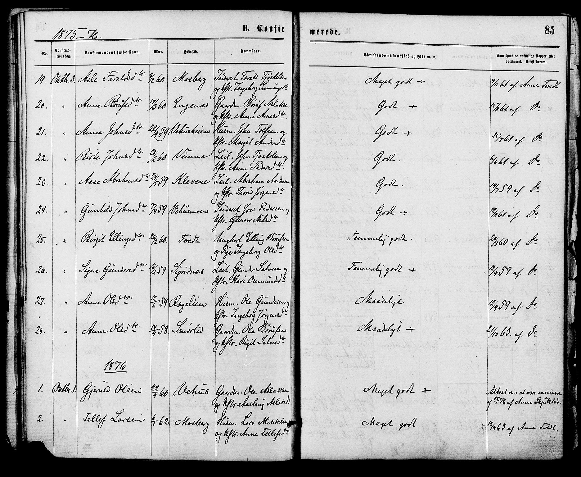 Åmli sokneprestkontor, AV/SAK-1111-0050/F/Fa/Fac/L0009: Parish register (official) no. A 9 /1, 1869-1884, p. 85