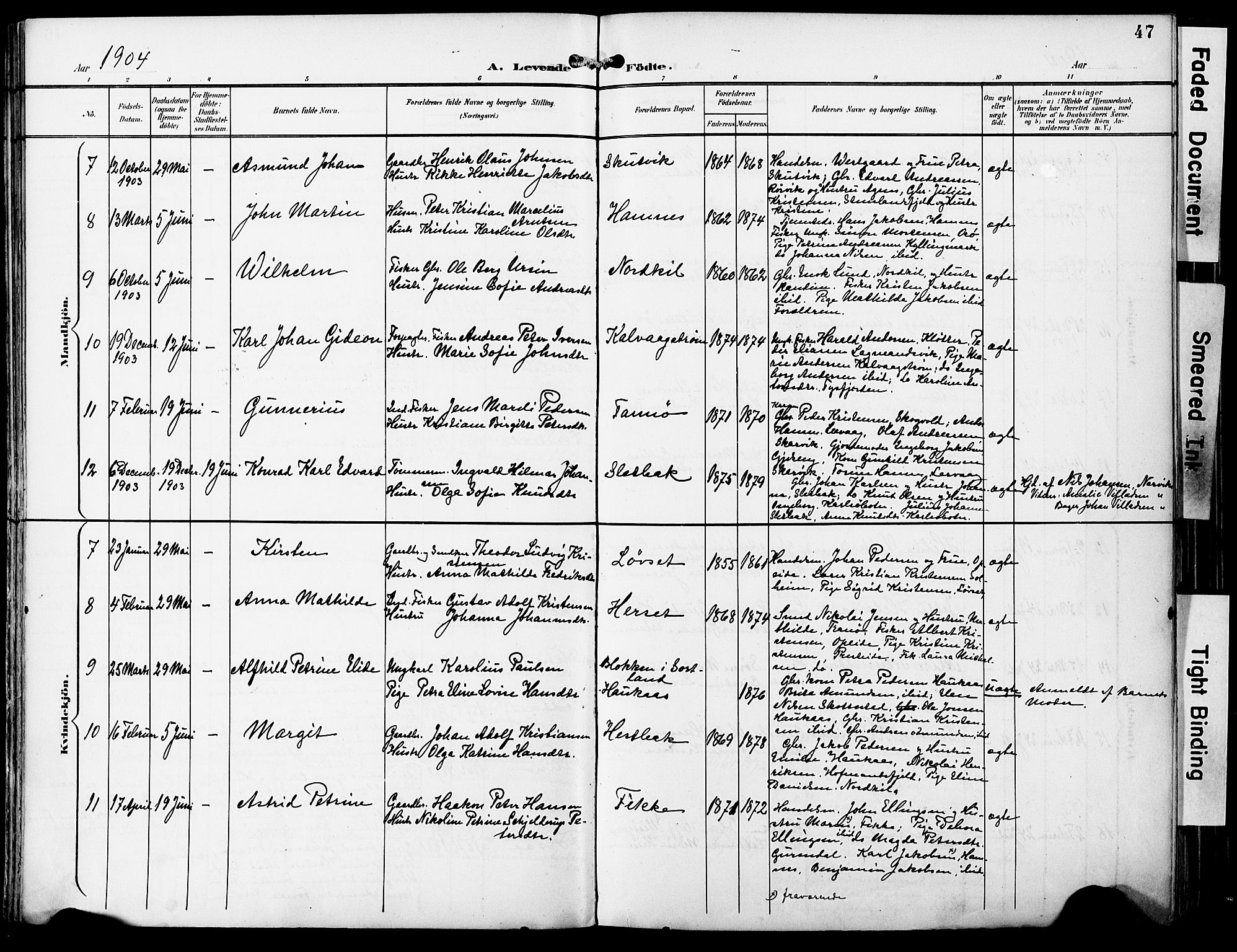 Ministerialprotokoller, klokkerbøker og fødselsregistre - Nordland, AV/SAT-A-1459/859/L0848: Parish register (official) no. 859A08, 1900-1912, p. 47