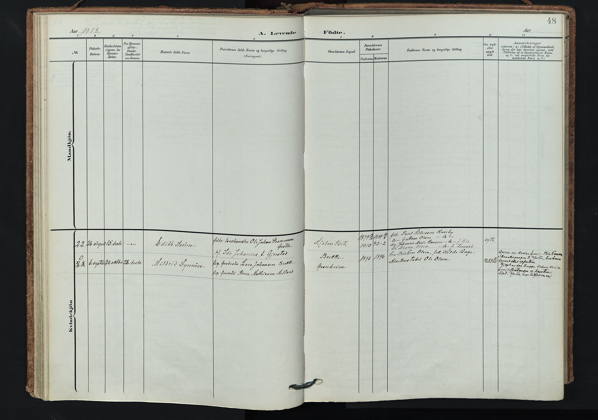 Våle kirkebøker, SAKO/A-334/F/Fa/L0012: Parish register (official) no. I 12, 1907-1934, p. 48