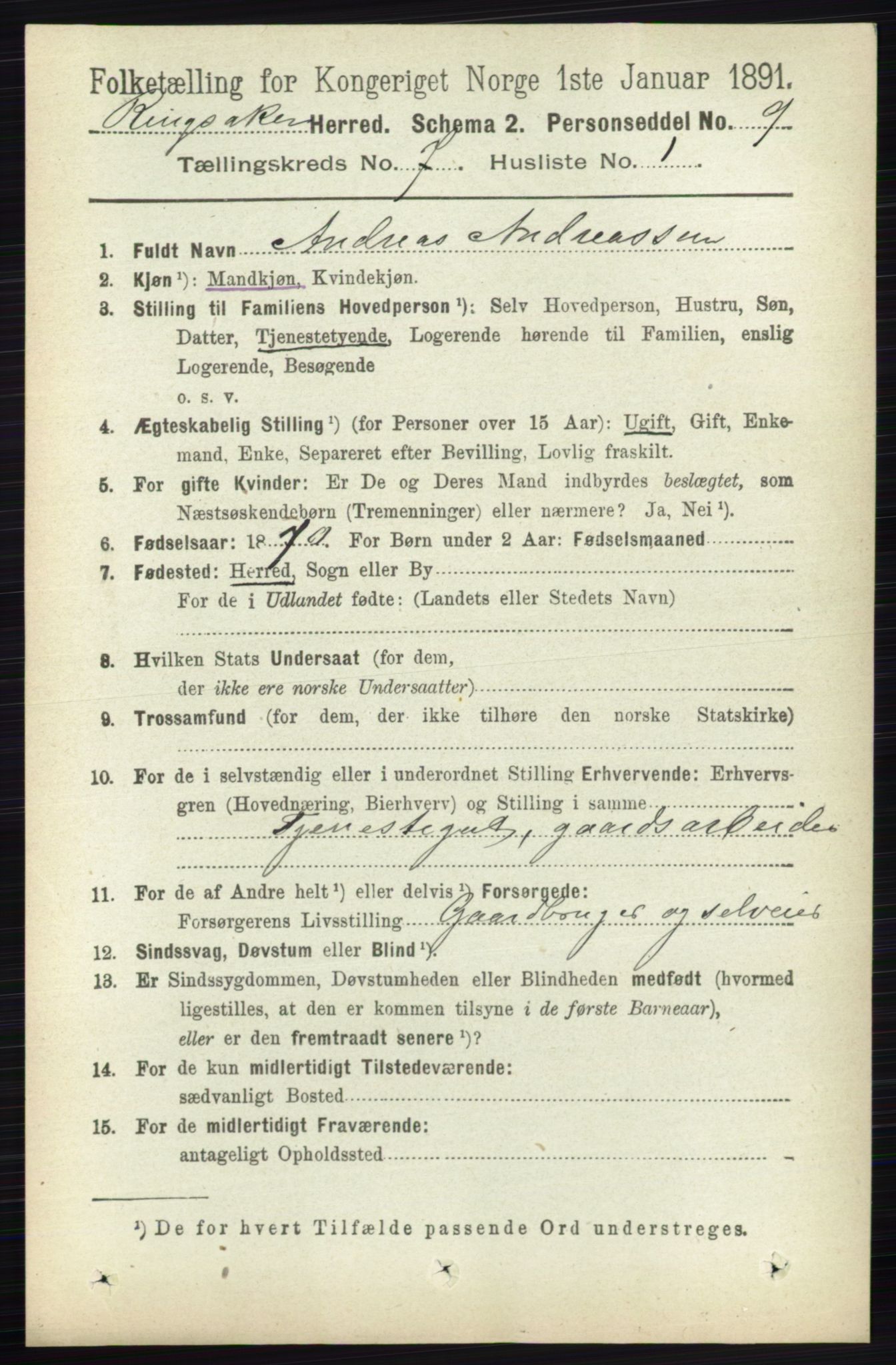 RA, 1891 census for 0412 Ringsaker, 1891, p. 3874