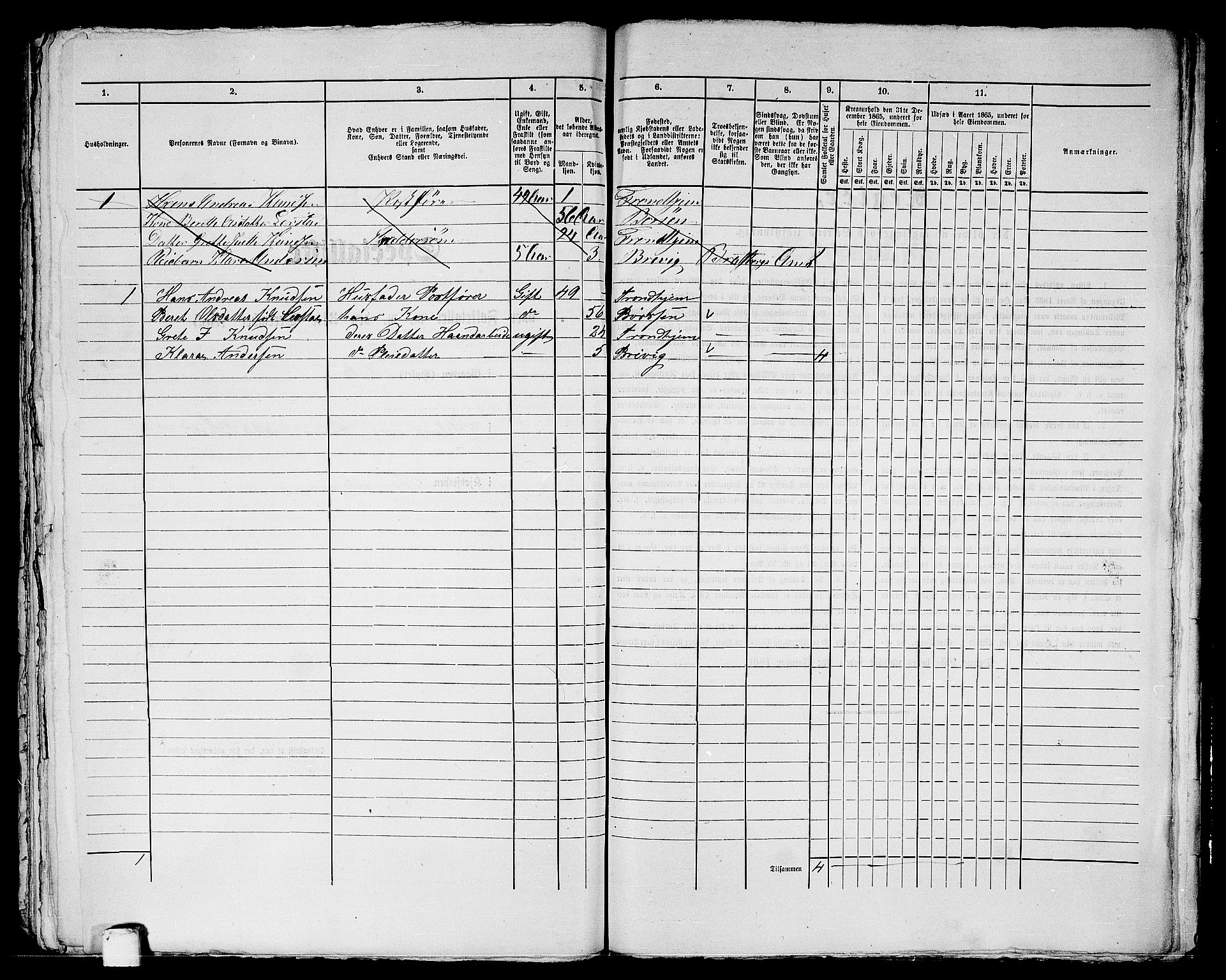 RA, 1865 census for Trondheim, 1865, p. 2056