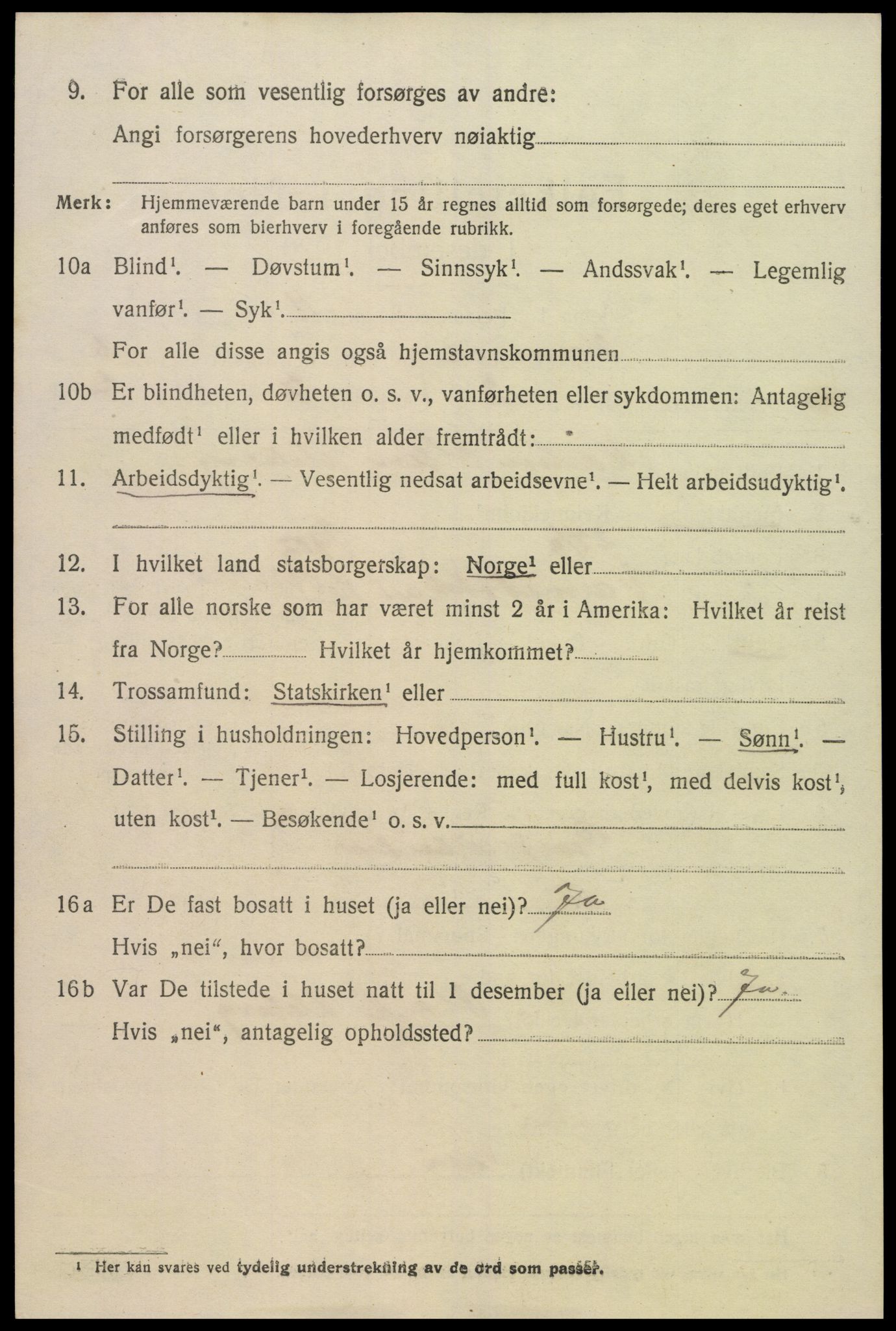 SAK, 1920 census for Hornnes, 1920, p. 1356
