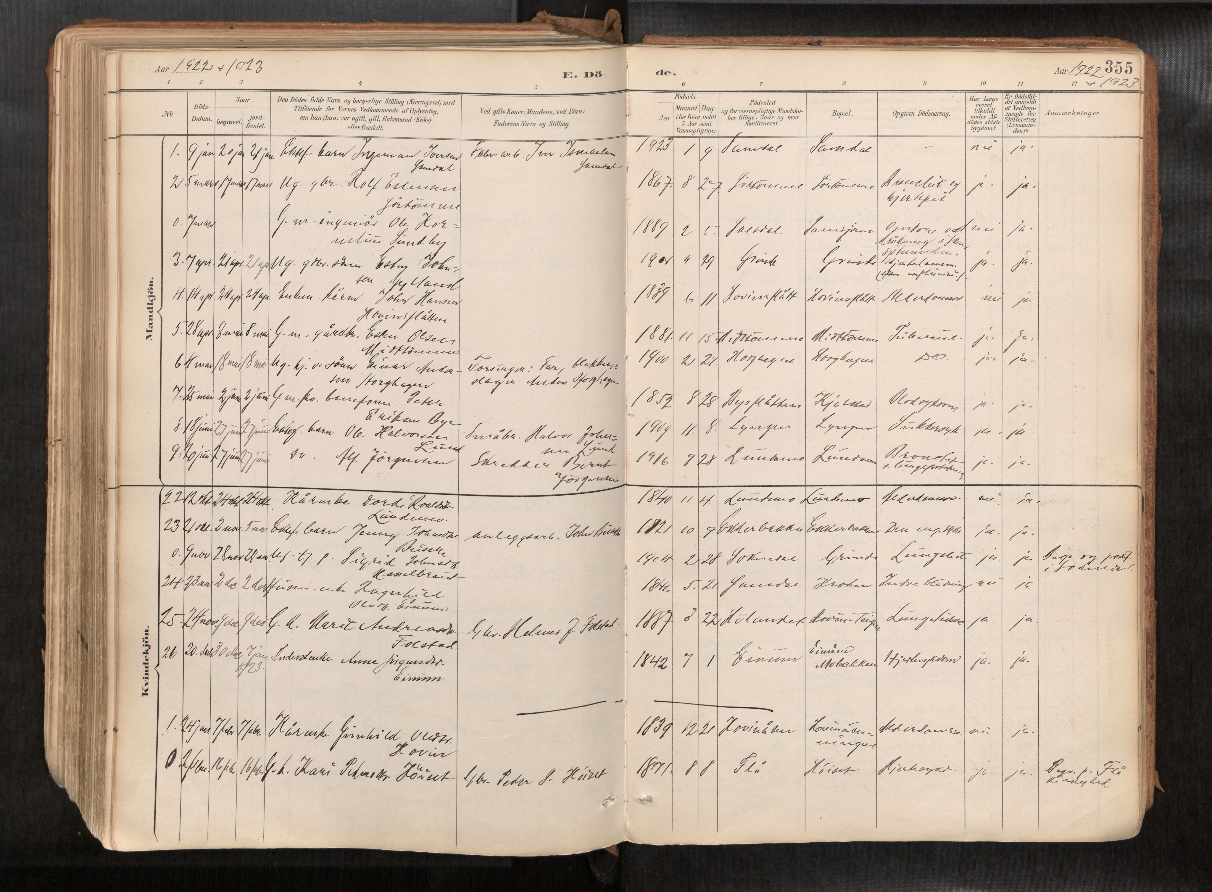 Ministerialprotokoller, klokkerbøker og fødselsregistre - Sør-Trøndelag, SAT/A-1456/692/L1105b: Parish register (official) no. 692A06, 1891-1934, p. 355
