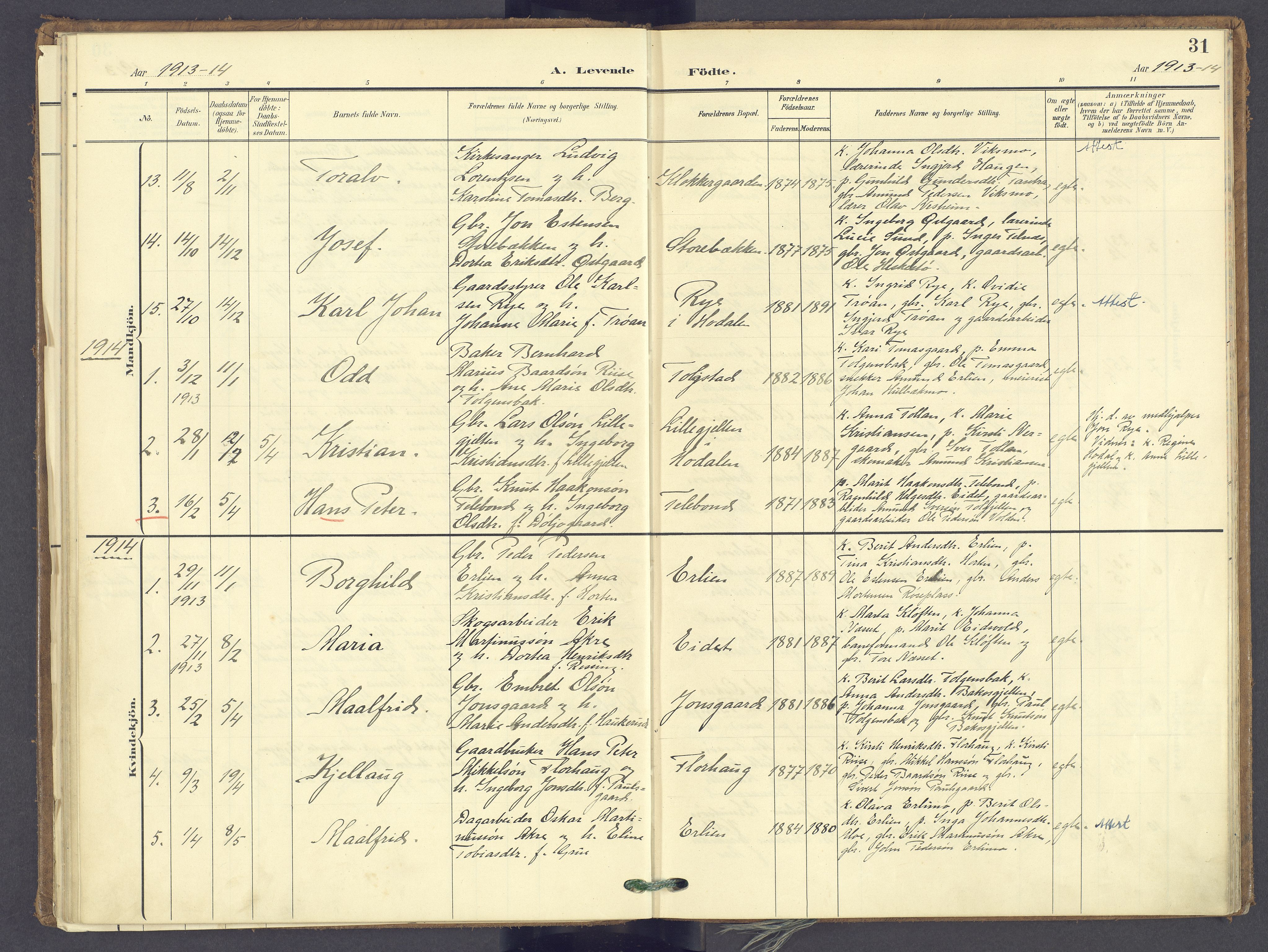 Tolga prestekontor, SAH/PREST-062/K/L0014: Parish register (official) no. 14, 1903-1929, p. 31