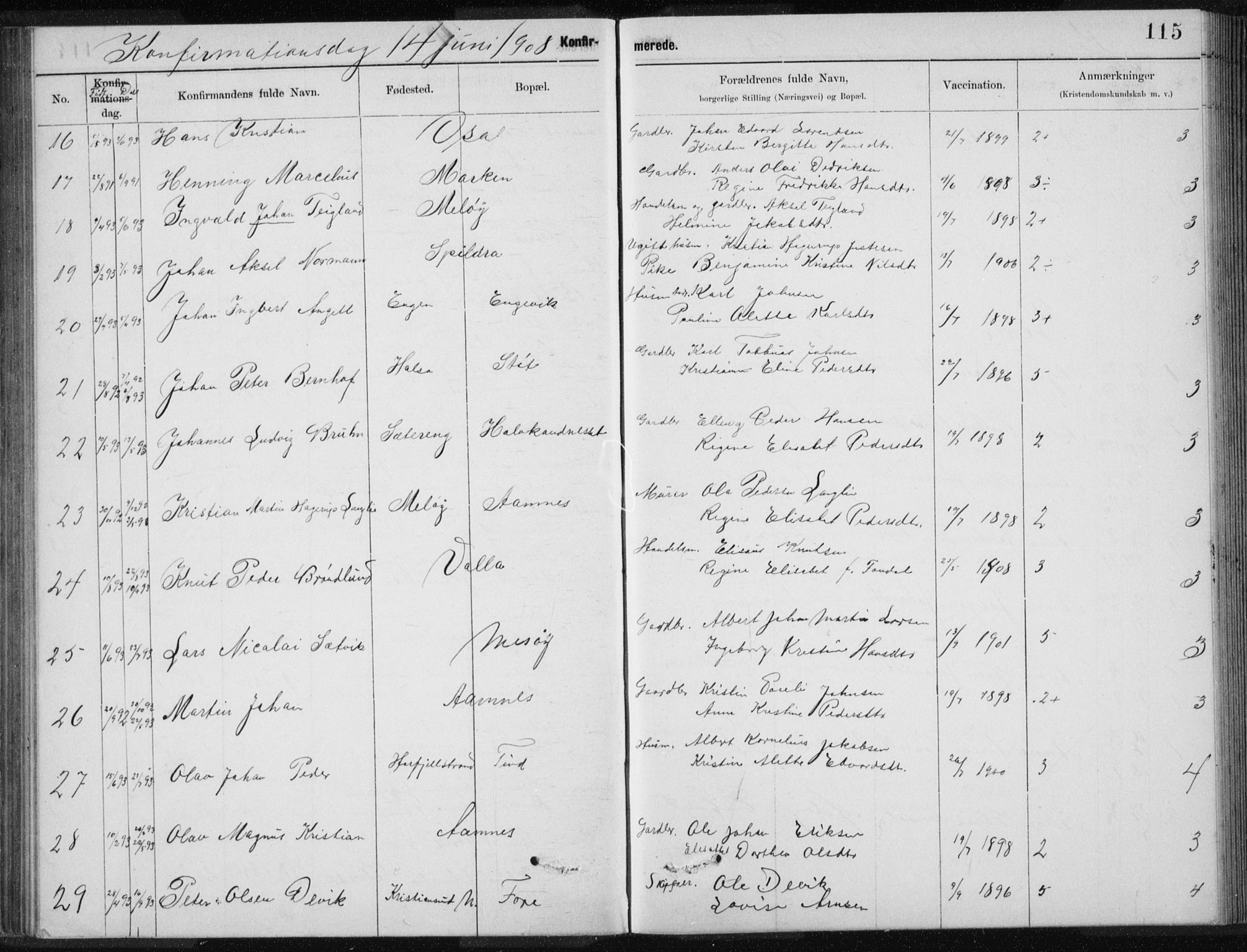 Ministerialprotokoller, klokkerbøker og fødselsregistre - Nordland, SAT/A-1459/843/L0637: Parish register (copy) no. 843C06, 1884-1908, p. 115