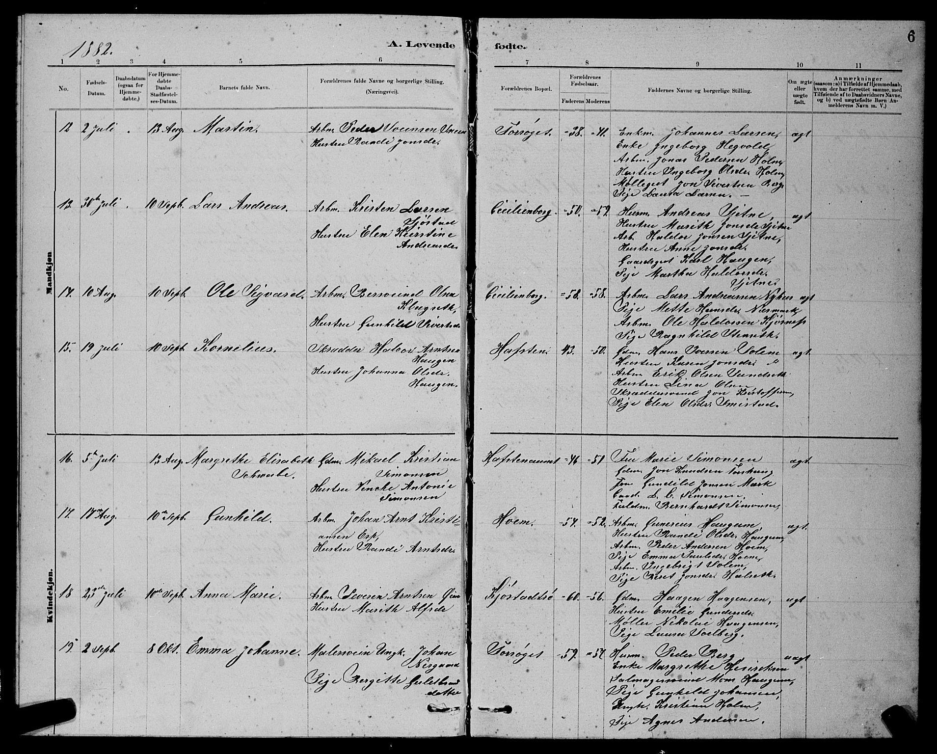 Ministerialprotokoller, klokkerbøker og fødselsregistre - Sør-Trøndelag, SAT/A-1456/611/L0354: Parish register (copy) no. 611C02, 1881-1896, p. 6