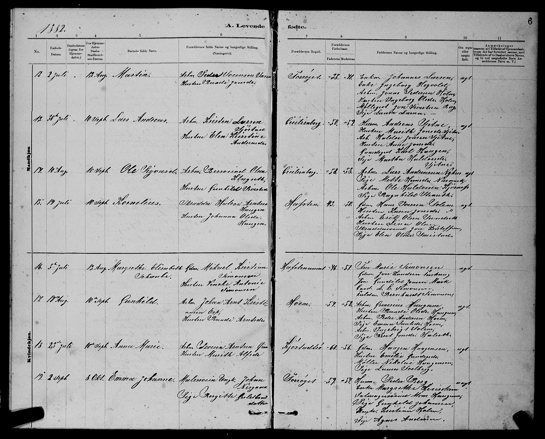 Ministerialprotokoller, klokkerbøker og fødselsregistre - Sør-Trøndelag, AV/SAT-A-1456/611/L0354: Parish register (copy) no. 611C02, 1881-1896, p. 6