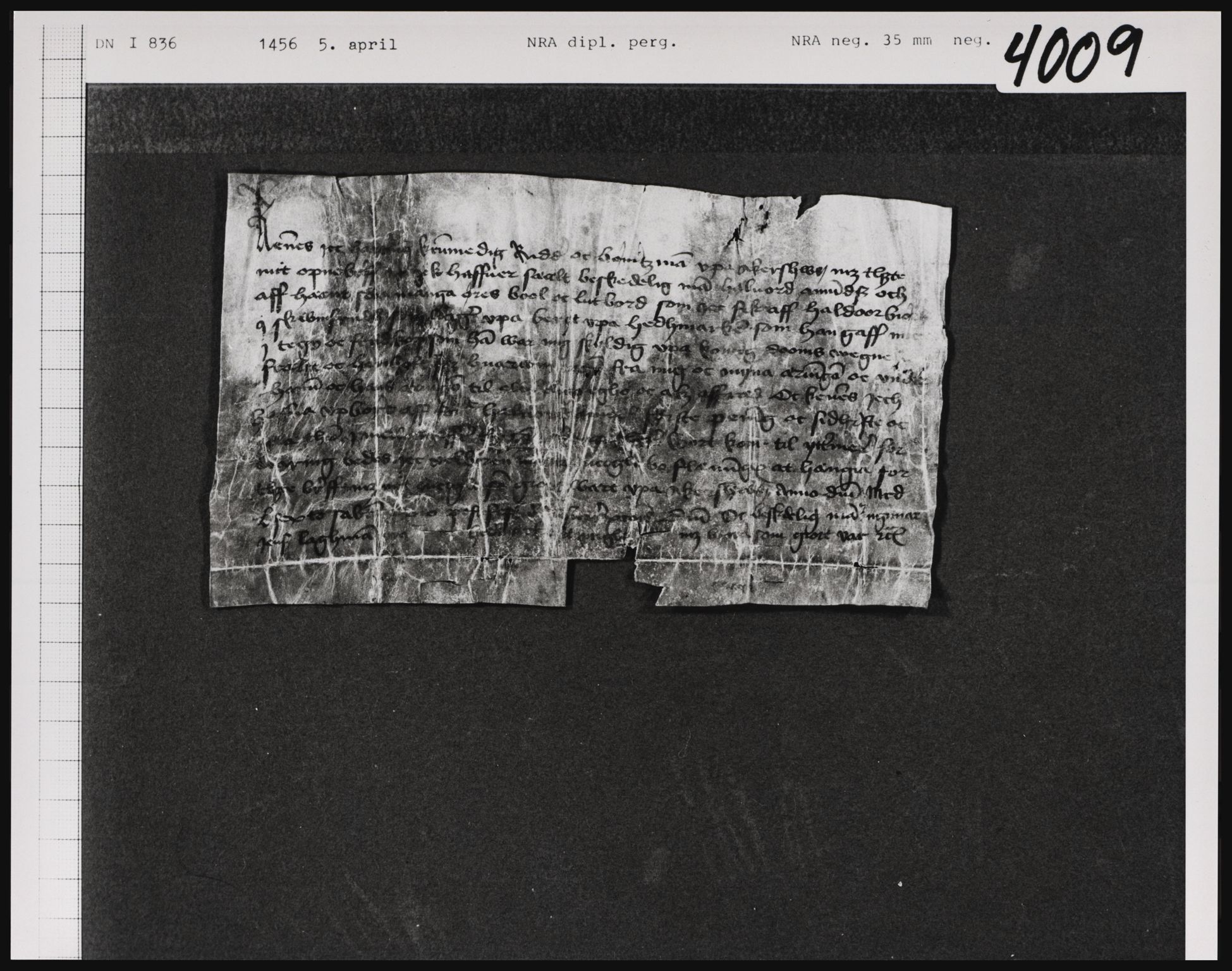 Riksarkivets diplomsamling, AV/RA-EA-5965/F01, 1333-1571, p. 4203