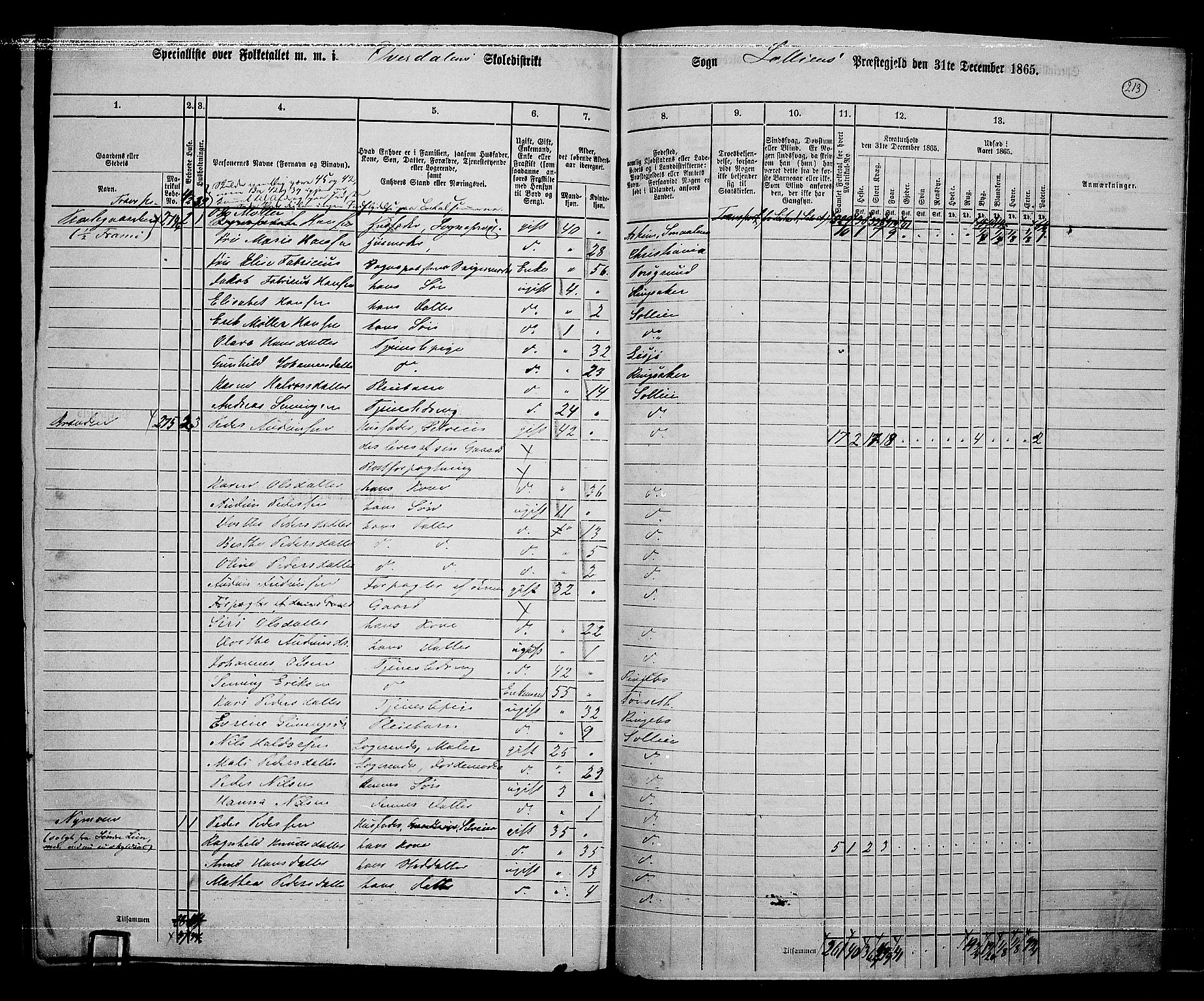 RA, 1865 census for Sollia, 1865, p. 18