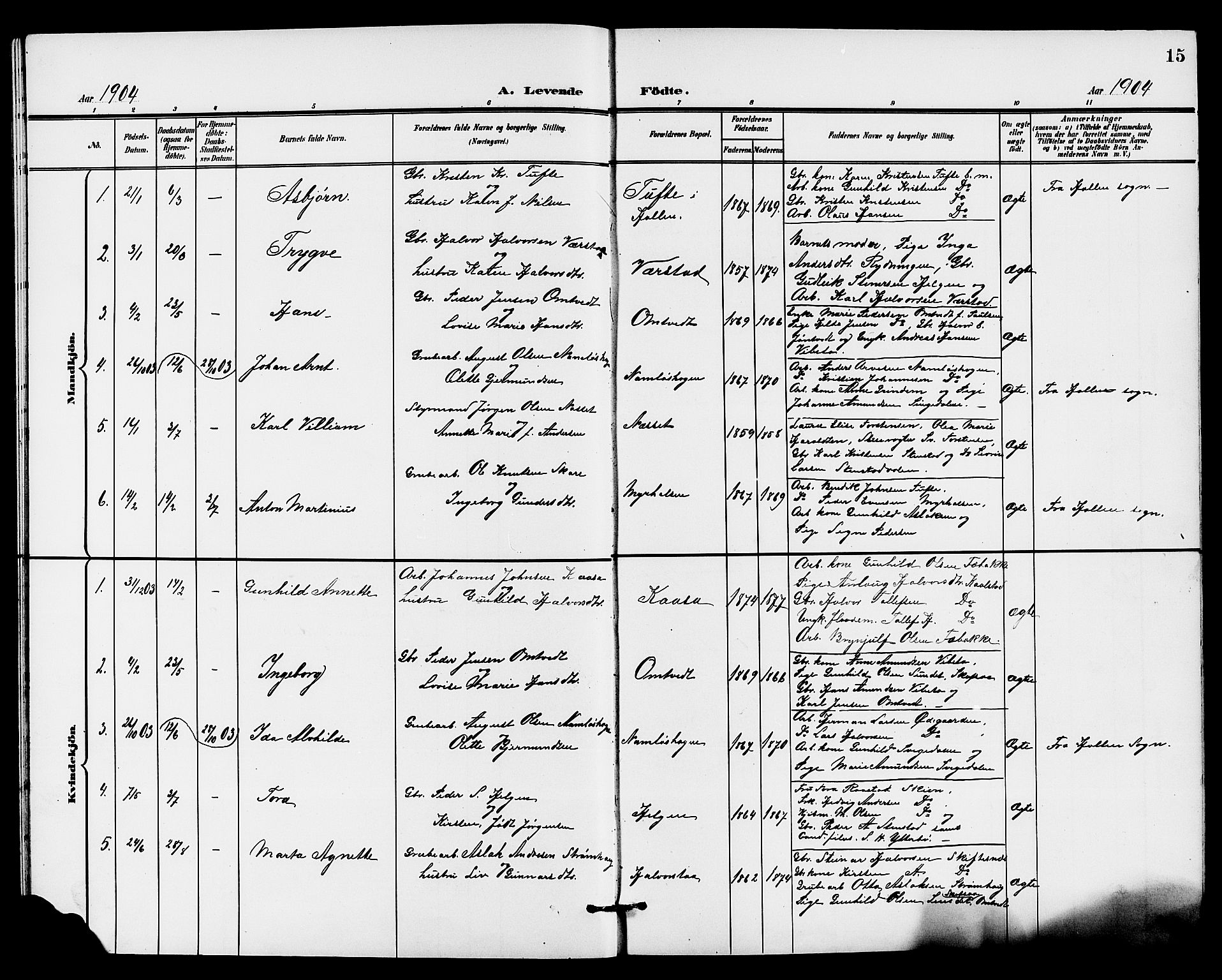 Holla kirkebøker, SAKO/A-272/G/Gb/L0002: Parish register (copy) no. II 2, 1897-1913, p. 15