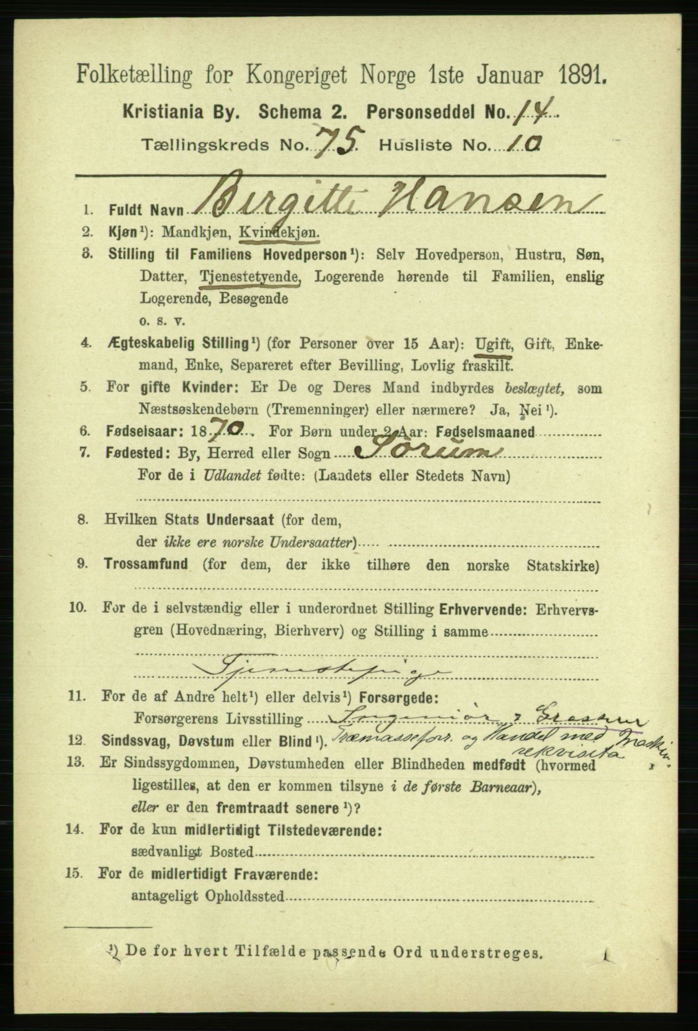 RA, 1891 census for 0301 Kristiania, 1891, p. 39999