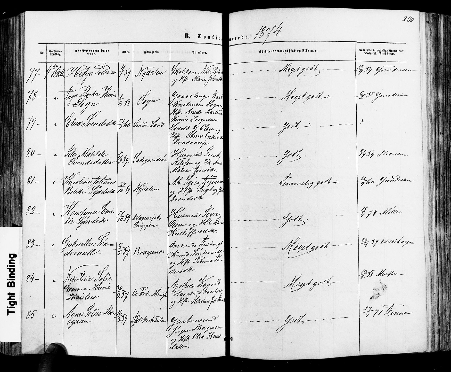 Vestre Aker prestekontor Kirkebøker, SAO/A-10025/F/Fa/L0005: Parish register (official) no. 5, 1859-1877, p. 250