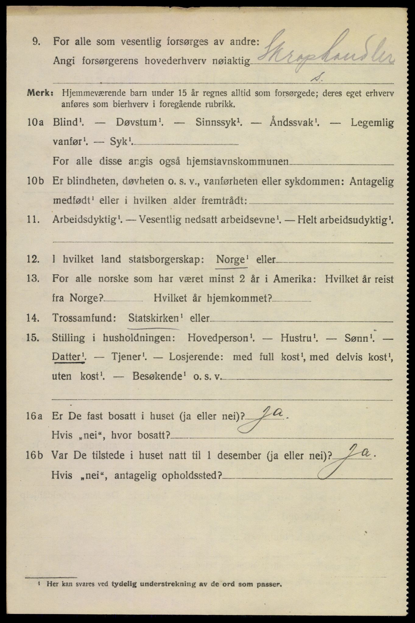 SAKO, 1920 census for Horten, 1920, p. 19006