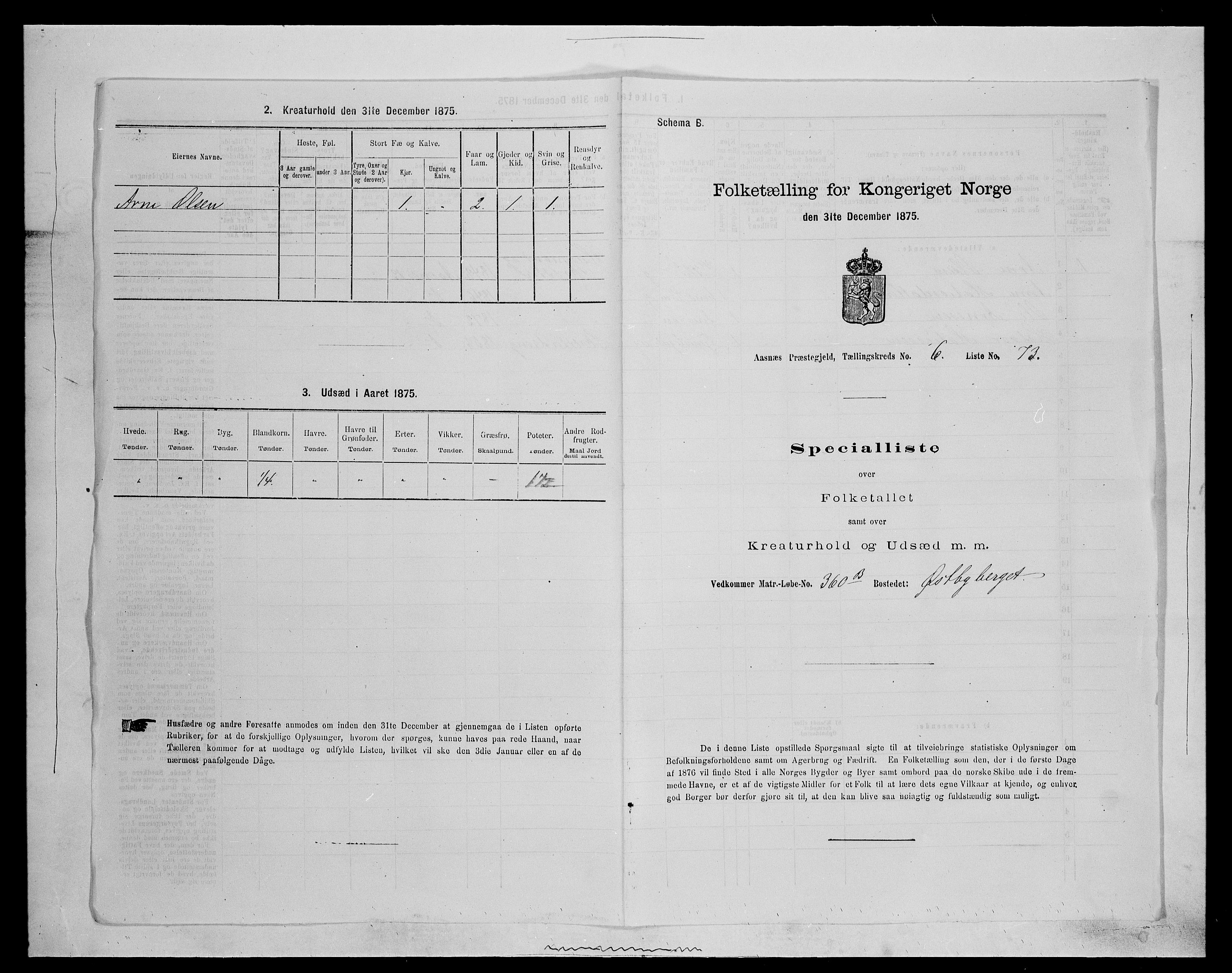 SAH, 1875 census for 0425P Åsnes, 1875, p. 960