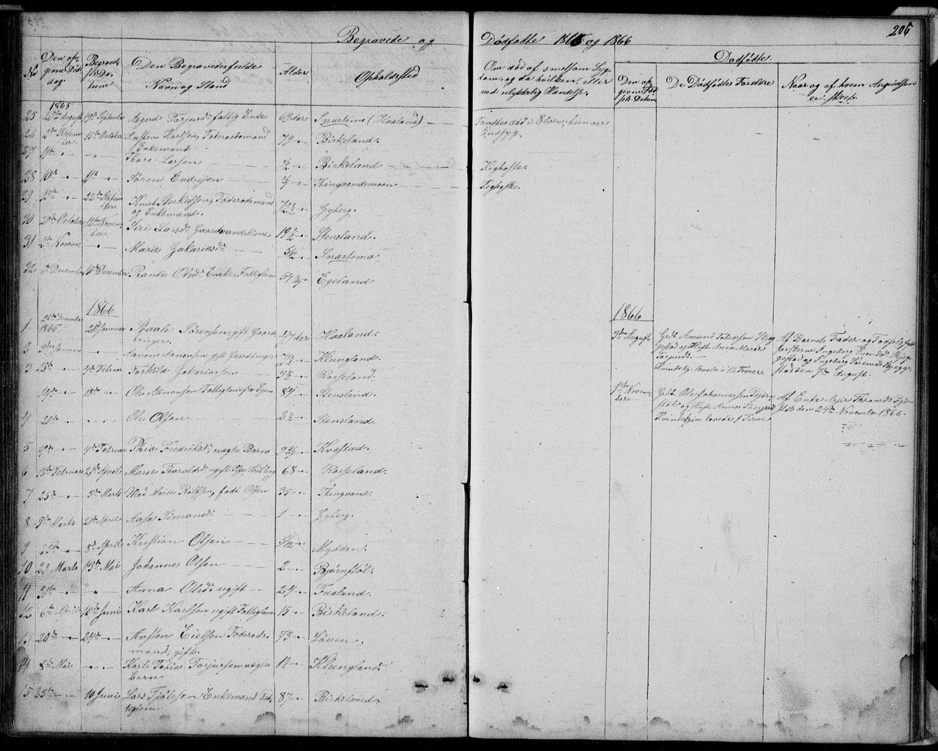 Hægebostad sokneprestkontor, SAK/1111-0024/F/Fb/Fba/L0002: Parish register (copy) no. B 2, 1851-1882, p. 206