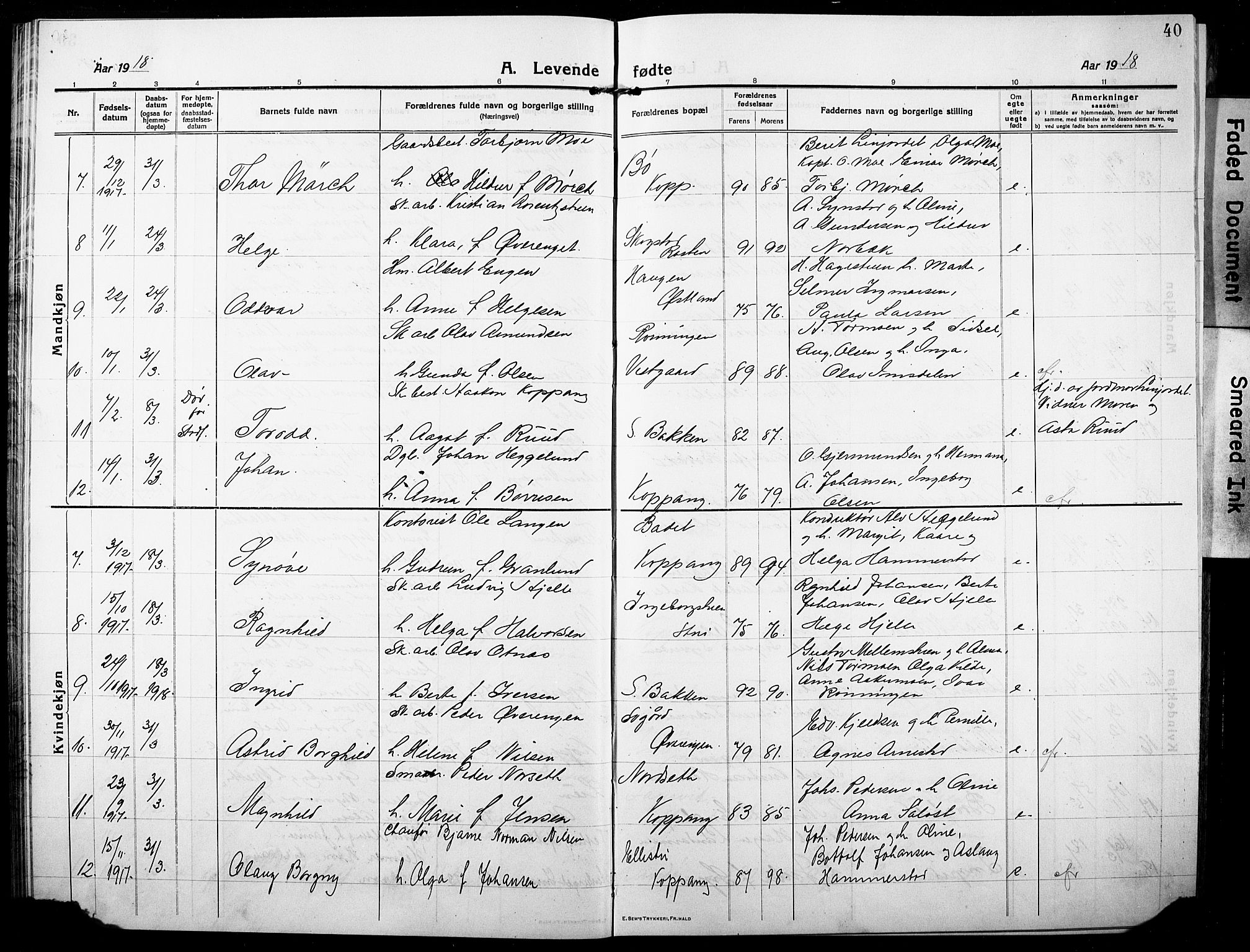 Stor-Elvdal prestekontor, AV/SAH-PREST-052/H/Ha/Hab/L0005: Parish register (copy) no. 5, 1913-1932, p. 40