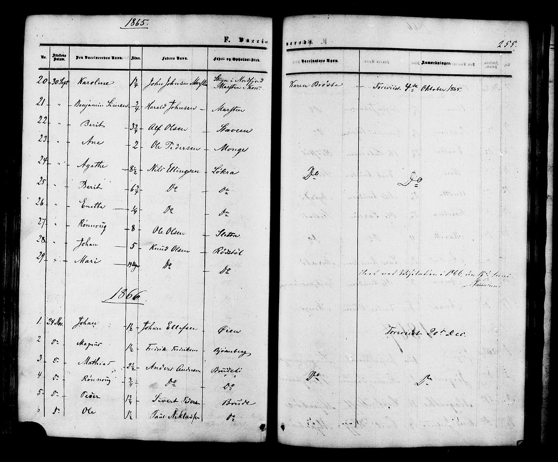 Ministerialprotokoller, klokkerbøker og fødselsregistre - Møre og Romsdal, AV/SAT-A-1454/546/L0594: Parish register (official) no. 546A02, 1854-1882, p. 255