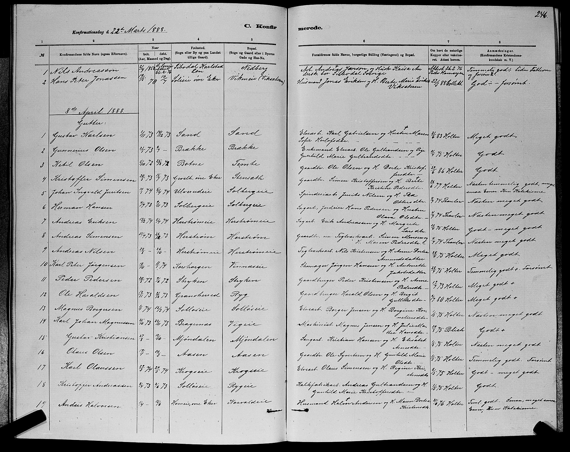 Nedre Eiker kirkebøker, AV/SAKO-A-612/G/Ga/L0002: Parish register (copy) no. 2, 1880-1896, p. 246