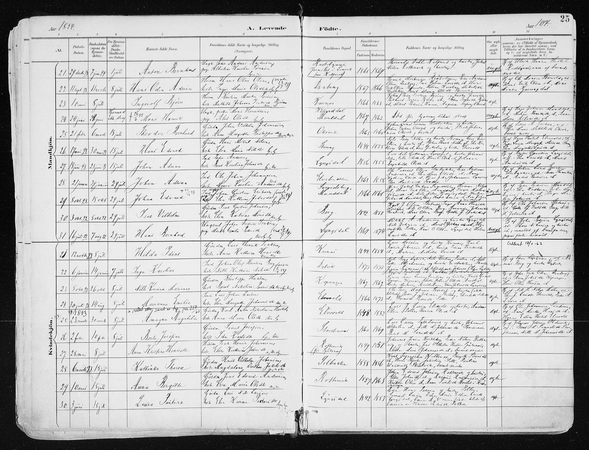 Lyngen sokneprestembete, AV/SATØ-S-1289/H/He/Hea/L0008kirke: Parish register (official) no. 8, 1891-1902, p. 25