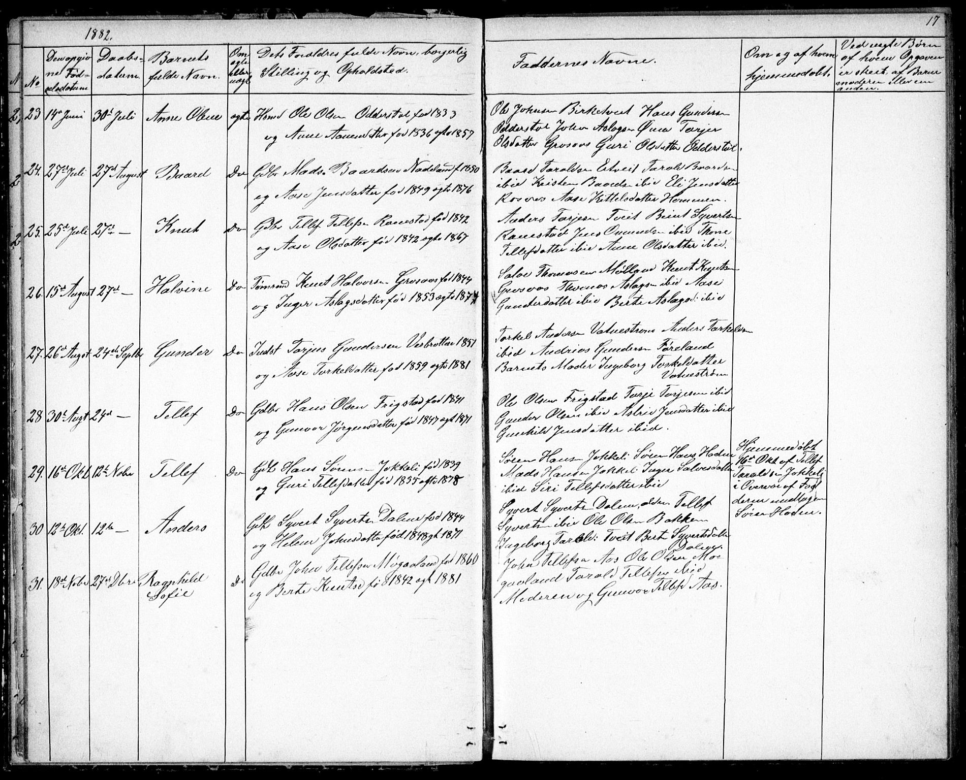 Evje sokneprestkontor, AV/SAK-1111-0008/F/Fb/Fbc/L0003: Parish register (copy) no. B 3, 1876-1889, p. 17