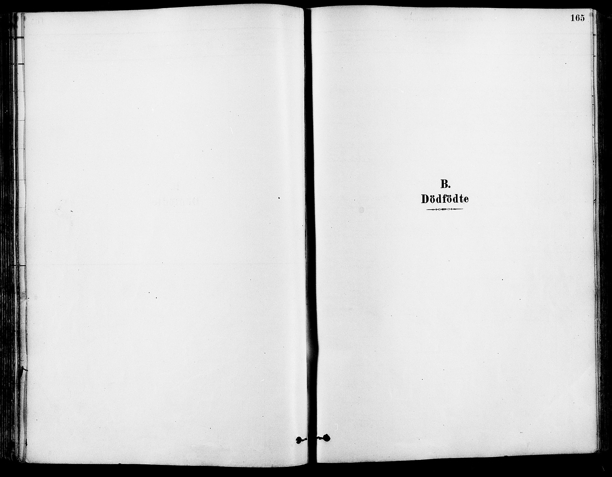 Eidskog prestekontor, SAH/PREST-026/H/Ha/Haa/L0003: Parish register (official) no. 3, 1879-1892, p. 165