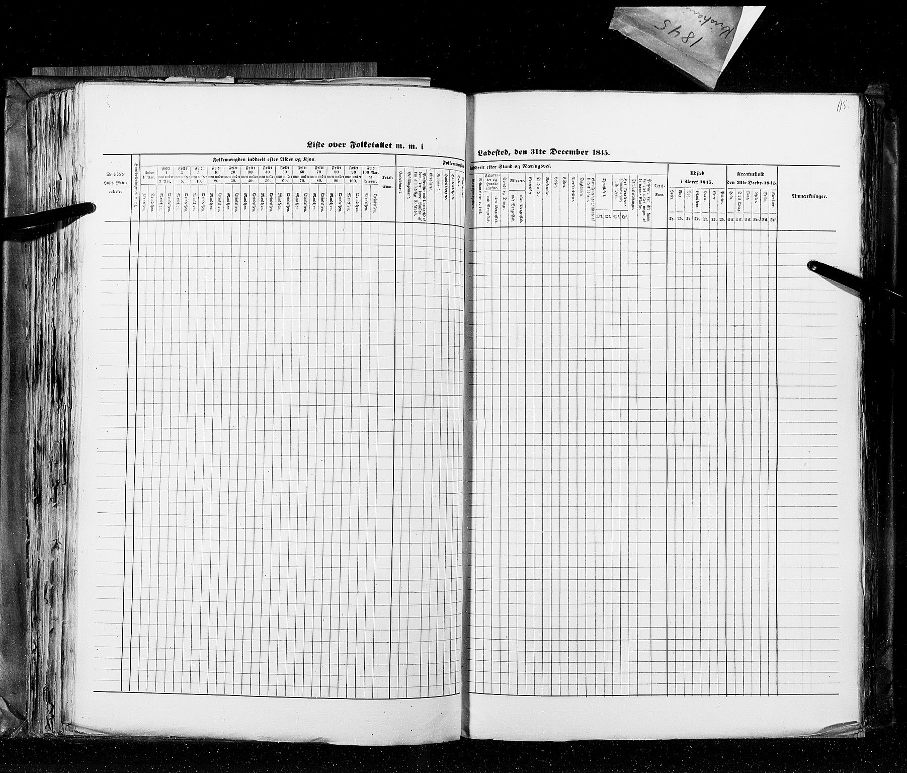 RA, Census 1845, vol. 10: Cities, 1845, p. 115