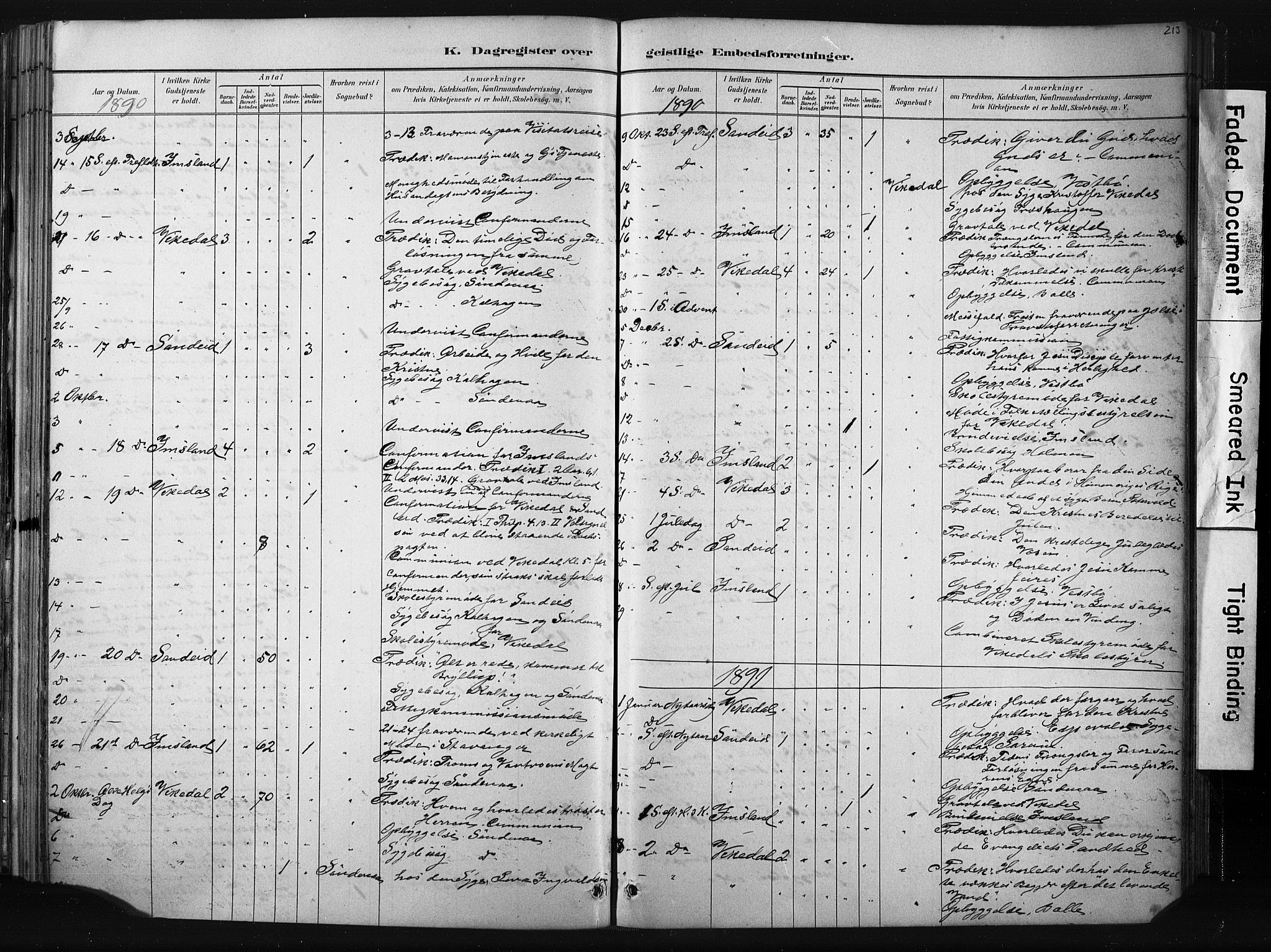 Vikedal sokneprestkontor, AV/SAST-A-101840/01/IV: Parish register (official) no. A 10, 1884-1907, p. 213