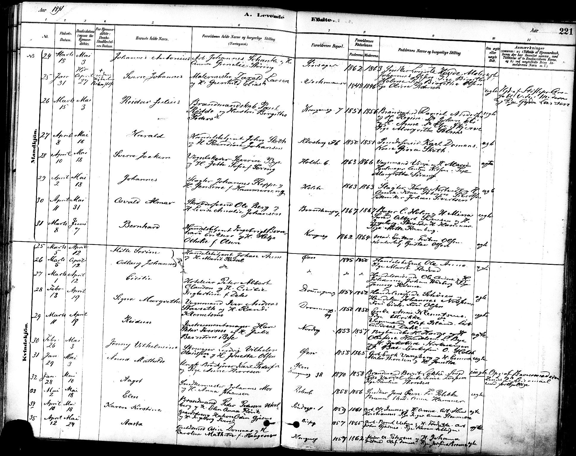 Ministerialprotokoller, klokkerbøker og fødselsregistre - Sør-Trøndelag, AV/SAT-A-1456/601/L0057: Parish register (official) no. 601A25, 1877-1891, p. 221