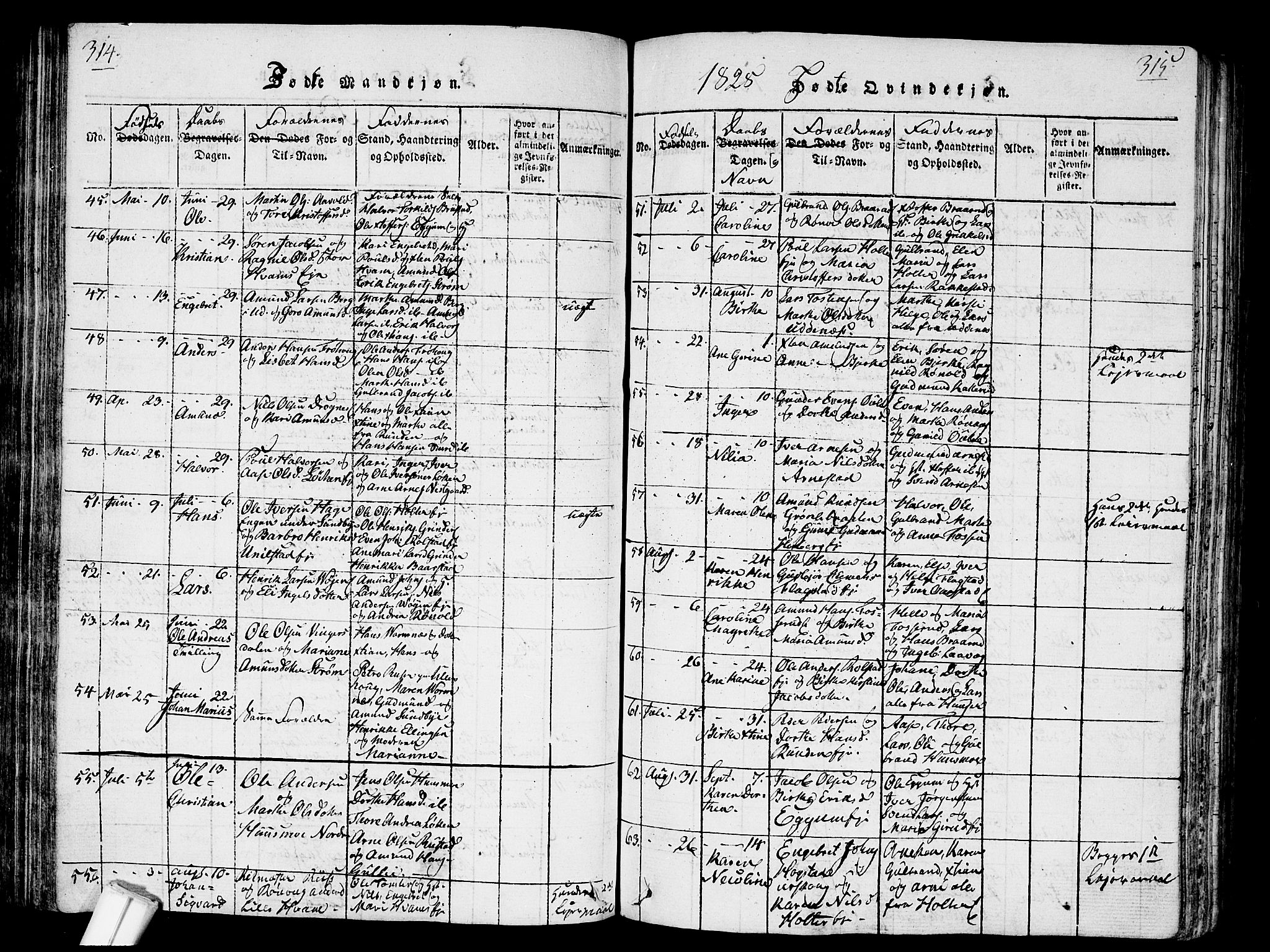 Nes prestekontor Kirkebøker, SAO/A-10410/G/Ga/L0001: Parish register (copy) no. I 1, 1815-1835, p. 314-315